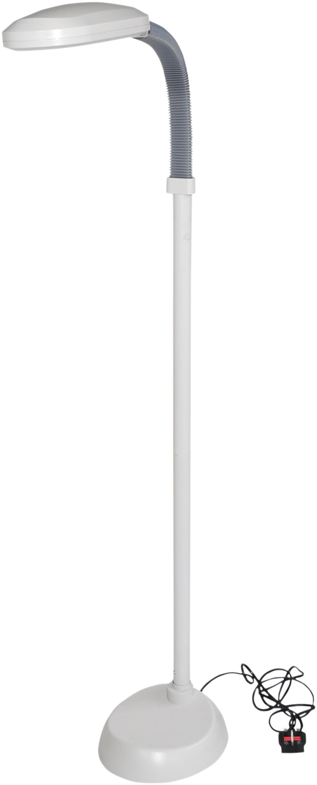 Aidapt Light Floor Mounted Reading Lamp