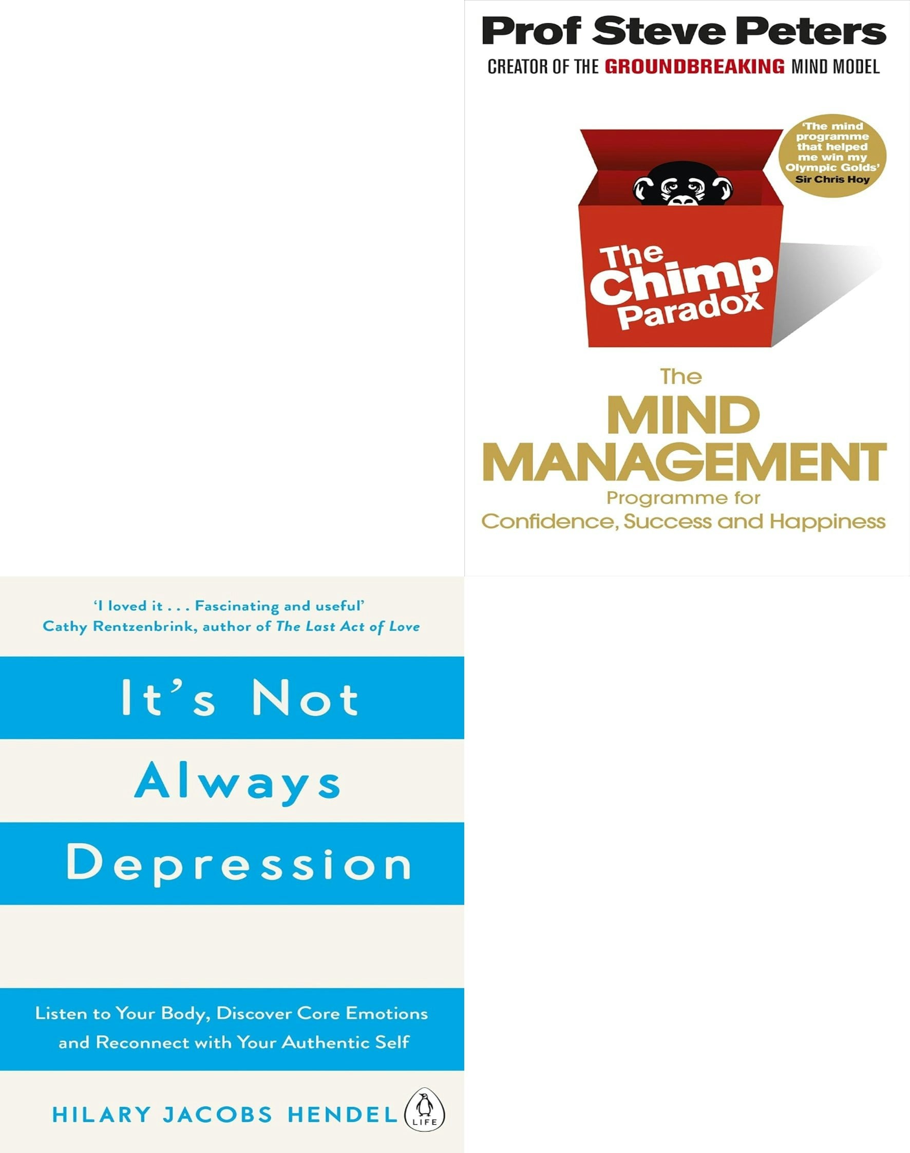 It's Not Always Depression, The Chimp Paradox 2 Books Collection Set - Image 6