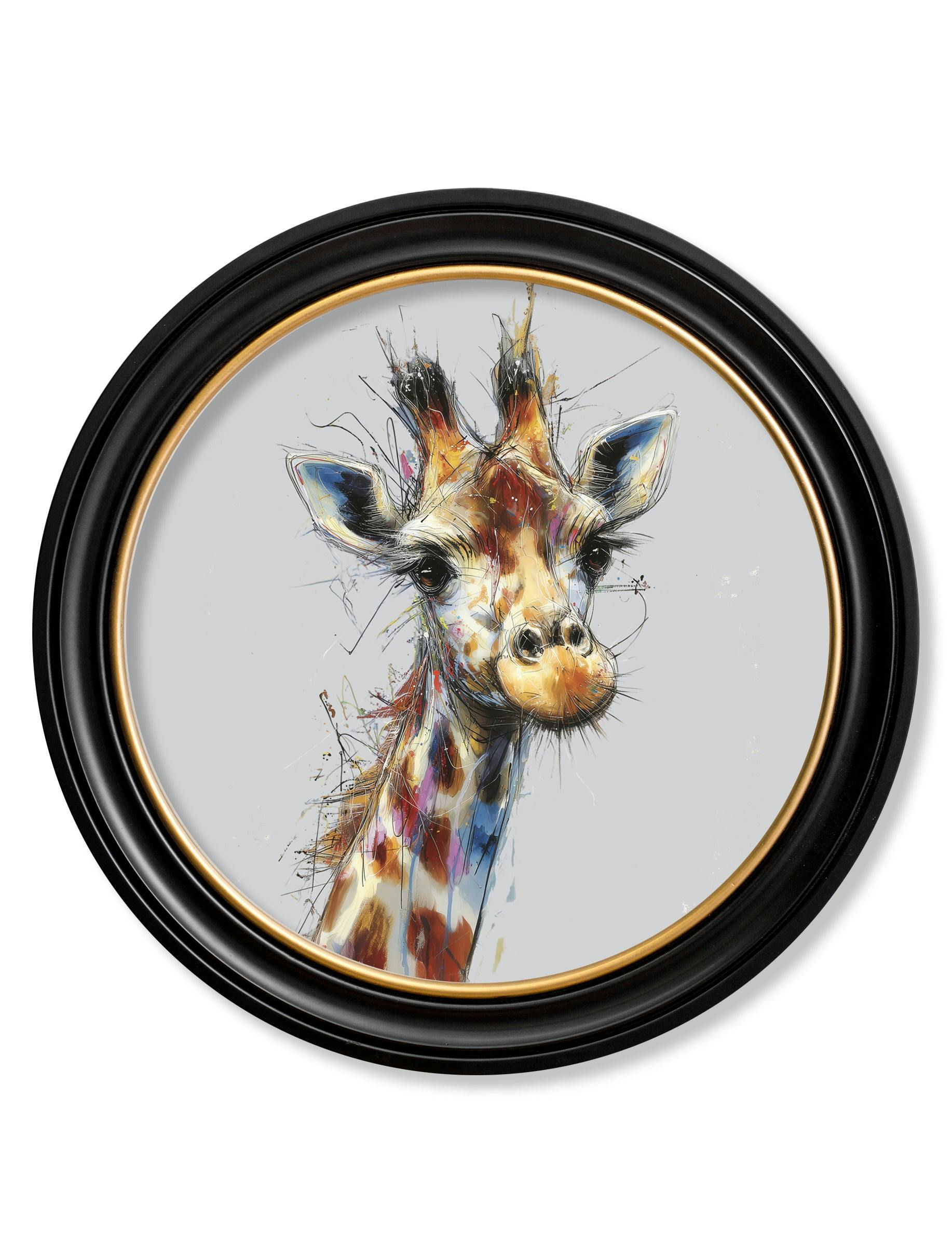 Rackhams Black/Gold/Grey Tall Giraffe Cosy Sketch - Oxford Round Frame - Tall Giraffe Cosy Sketch - 70 X 70Cm