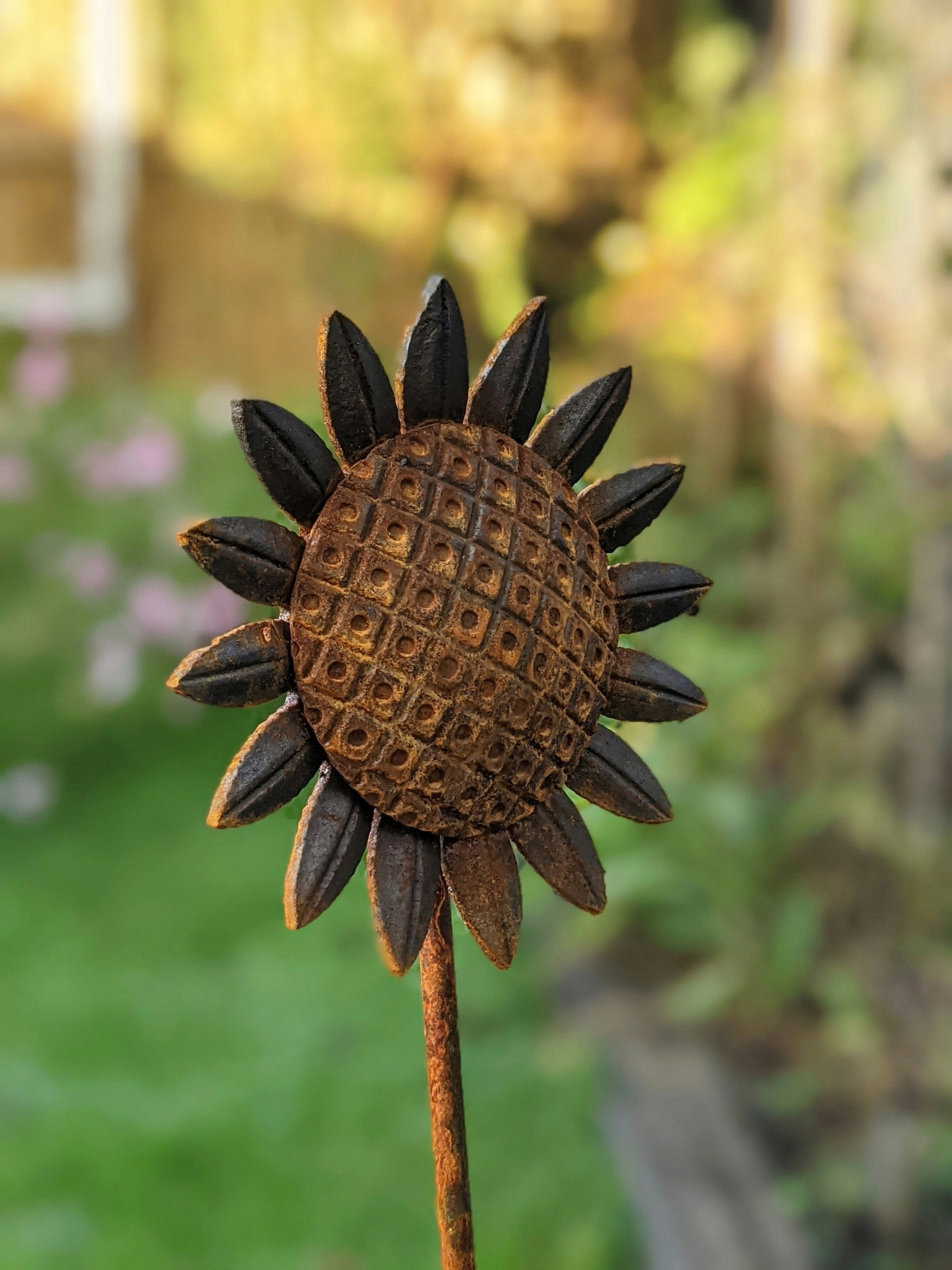 Rackhams Orange Sunflower Stake