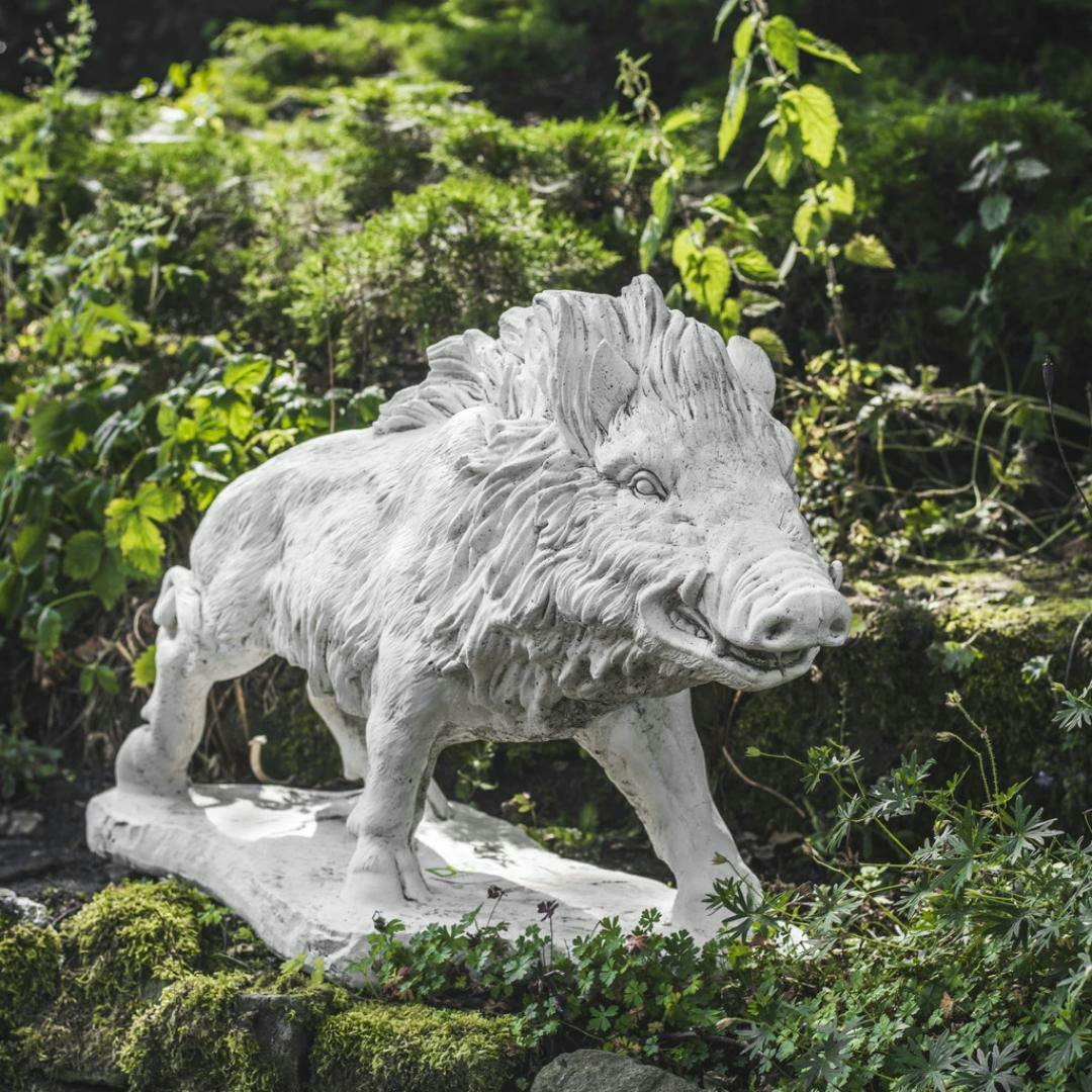 Rackhams White/Cream Large Wild Boar Stone Statue