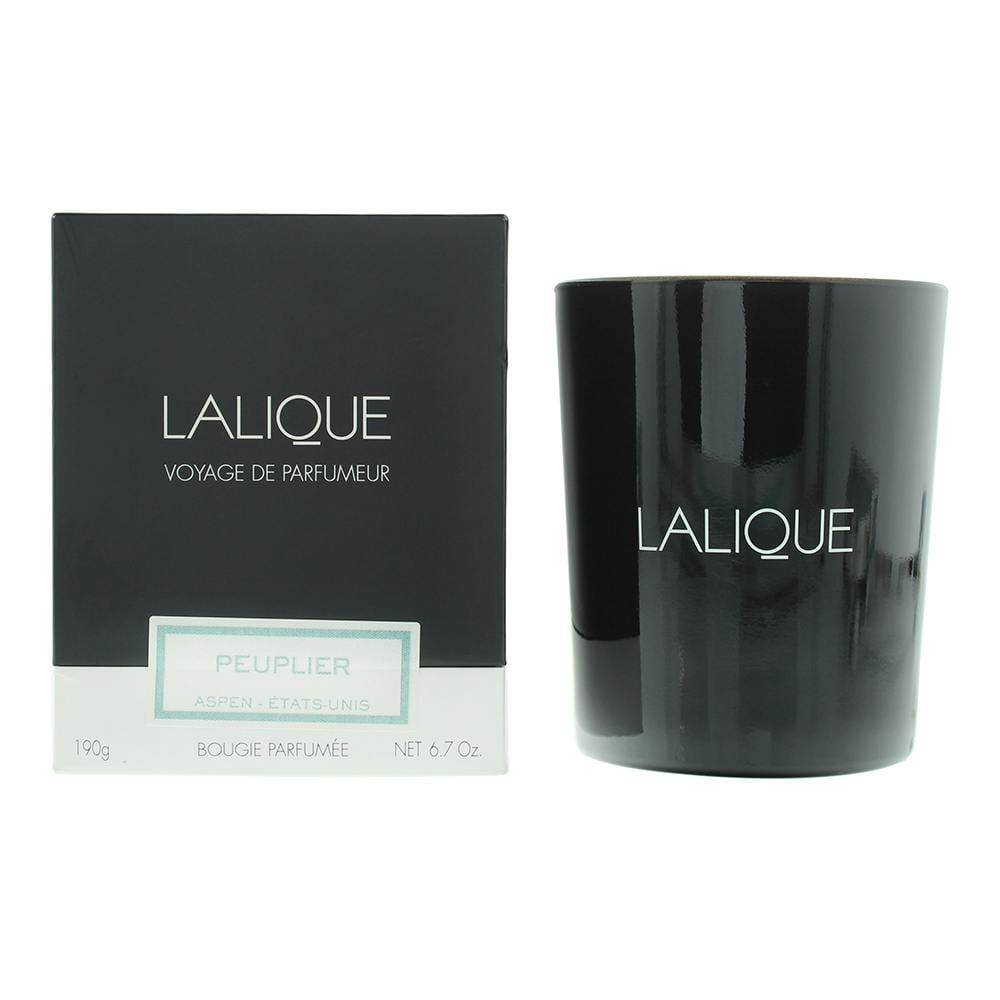 Rackhams Peuplier Aspen Etats-Unis Candle 190G - Image 6