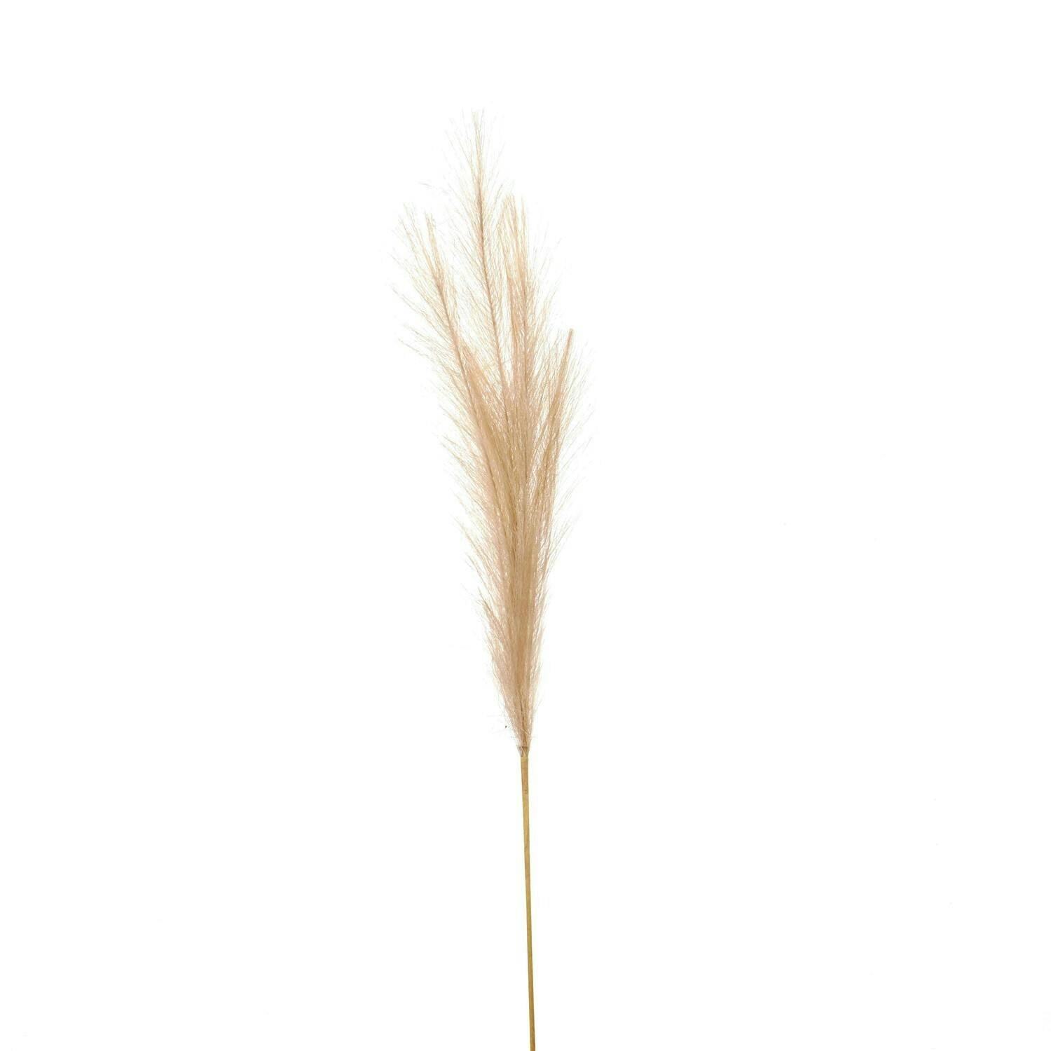 Hill Interiors White Pampas Grass Artificial Flower - 120Cm X 30Cm X 30Cm