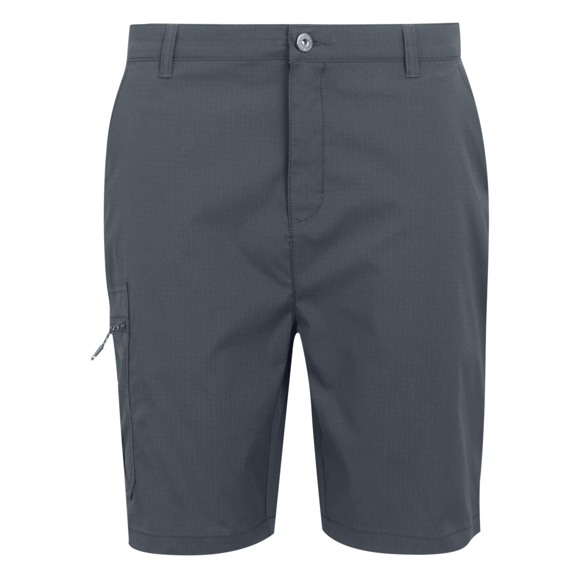 Regatta (40R, Seal Grey) Mens Dalry Multi Pocket Shorts - Image 2