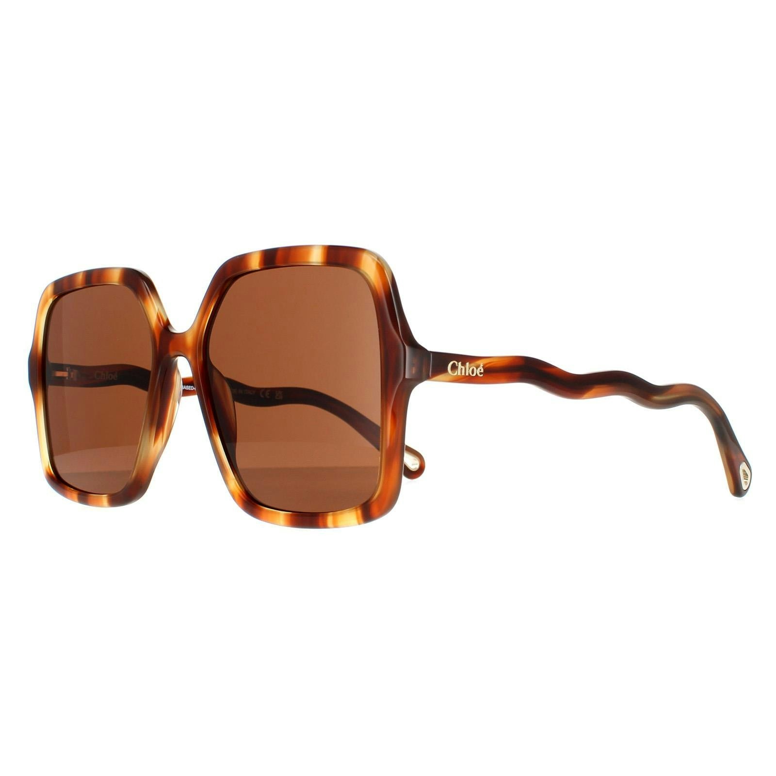 Chloé Women's Brown Chloe Ch0086s Zelie Havana Sunglasses