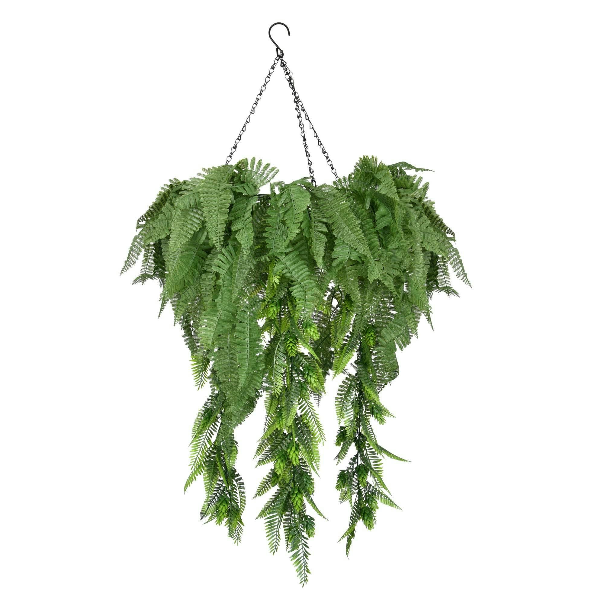 True Products Black Hanging Hoop With Artificial Woodland Trailing Ferns 60Cm Diameter