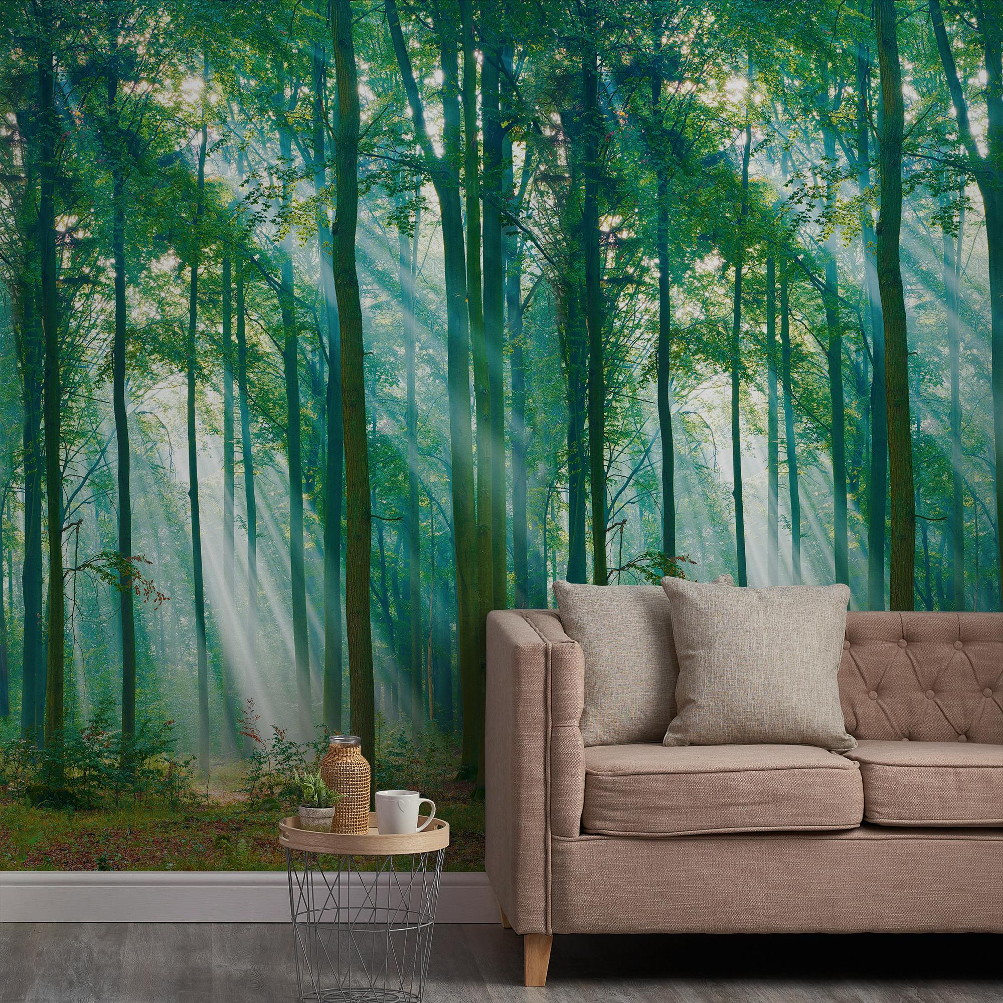 Grandeco Light Photographic Forest Sun Through Trees 3 Panel Repeatable Mural 1.59 X 2.8M