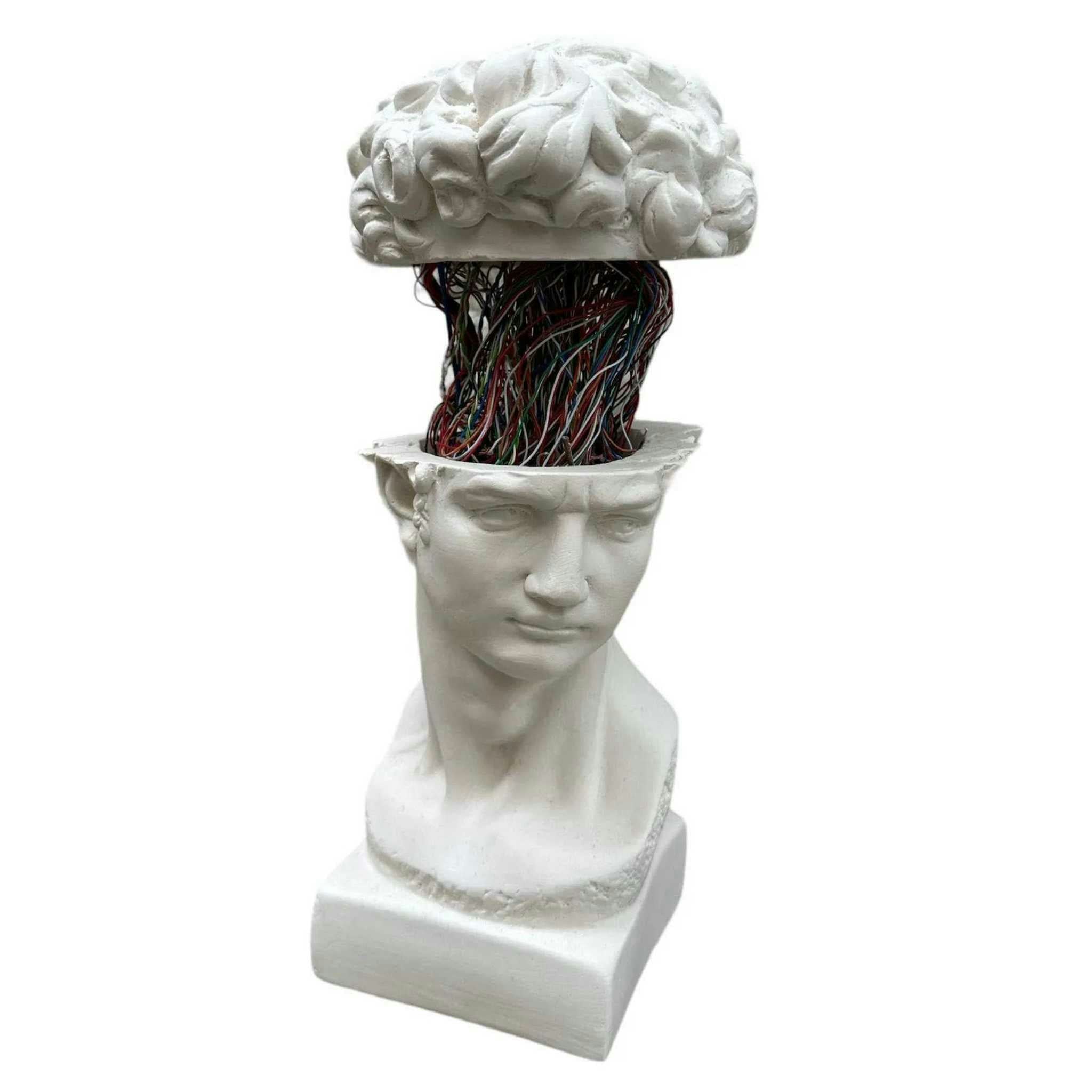 Rackhams David Colourful Brain Medium - Plaster - 40 X 14 X 14 Cm