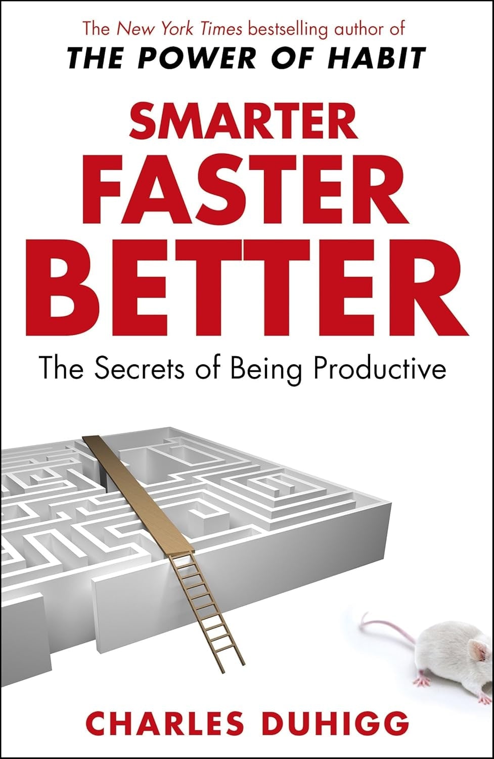 Random House Smarter Faster Better The Secrets Of Being Productive In Life And Business