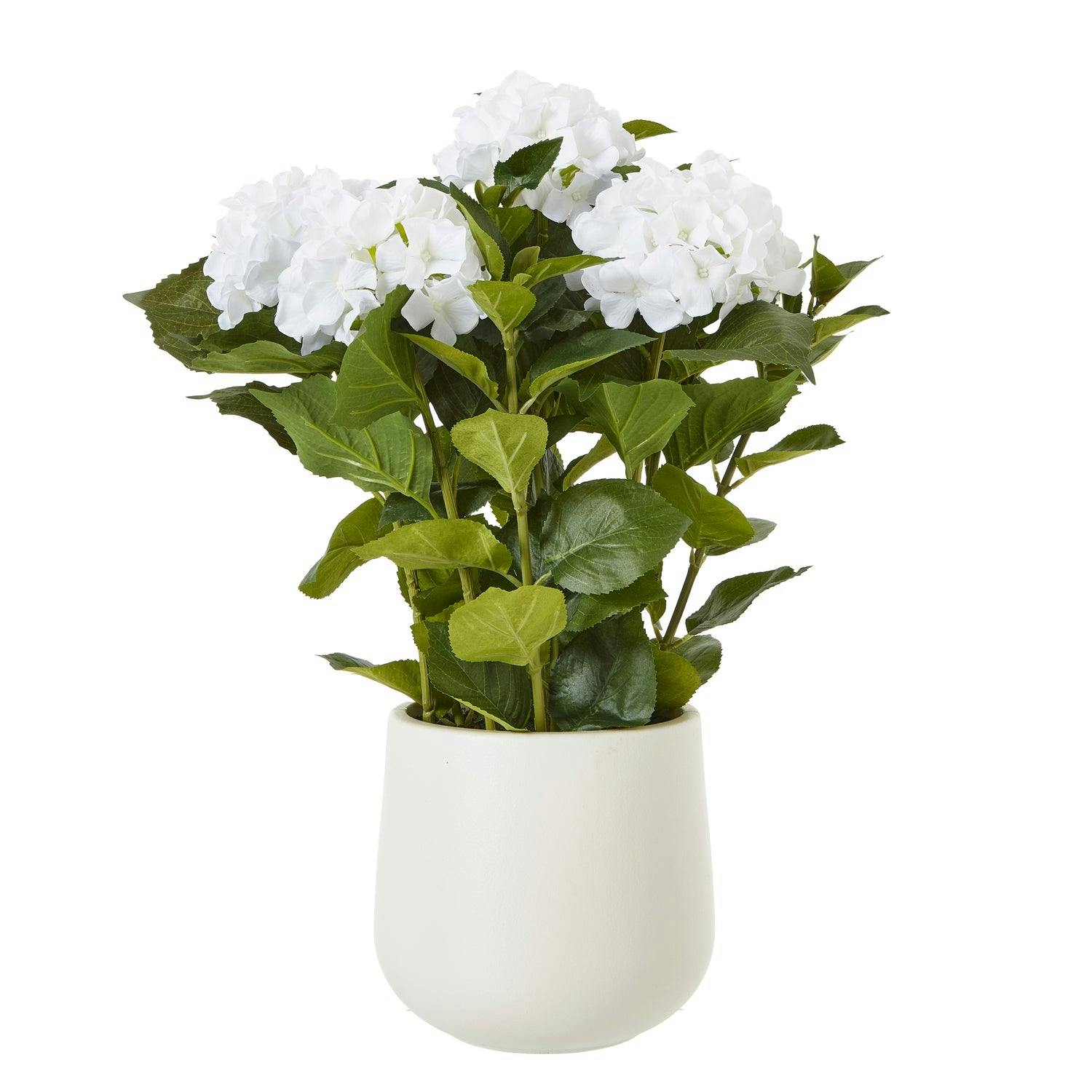 Wyld Haus White Artificial Plant Medium Hydrangea Plant In Ceramic Pot