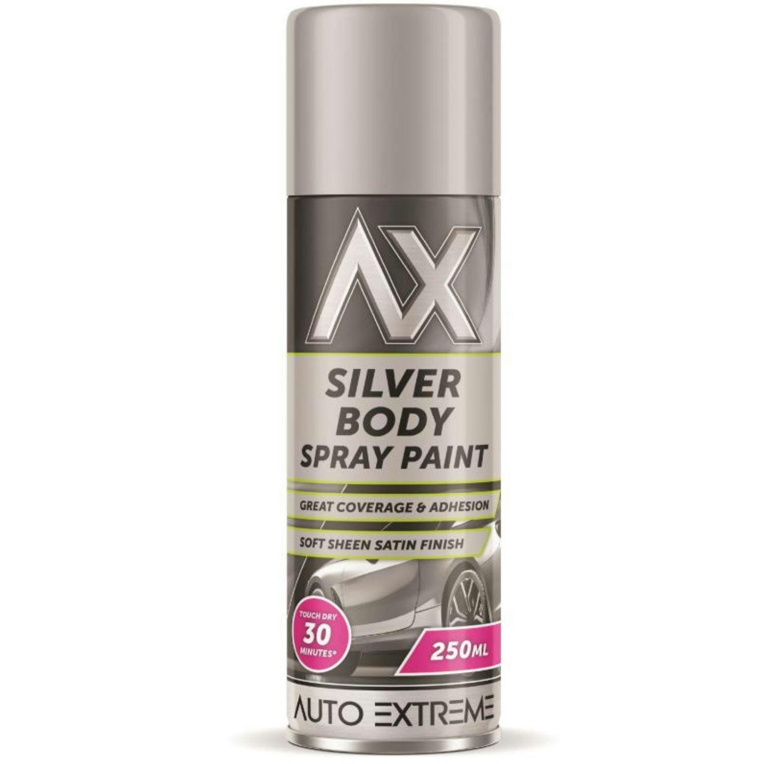 Rackhams Silver 3X Auto Extreme Paint Spray Paint 250Ml - Image 36