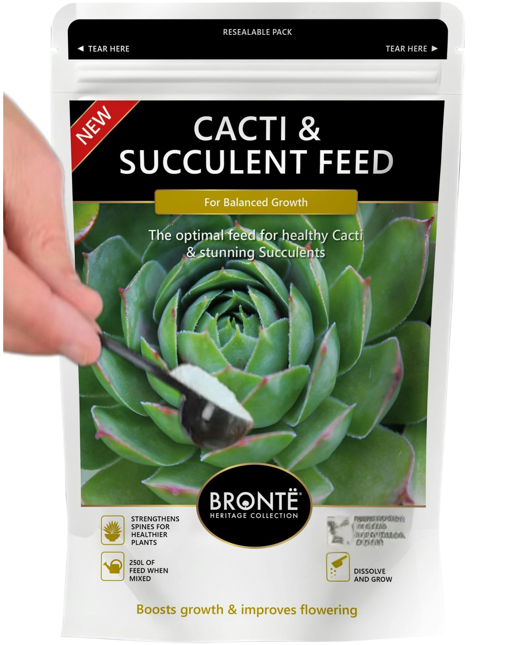Rackhams Cacti & Succulent Fertiliser – 250G Water-Soluble Powder For Indoor/Outdoor Plants. Promotes Healthy Growth & Plump Leaves