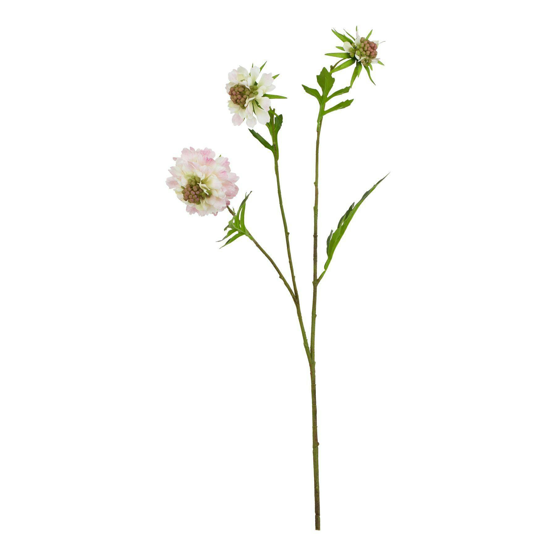 Hill Interiors Pink The Natural Garden Collection Scabious Stem Artificial Plant - One Size - 100% Mixed