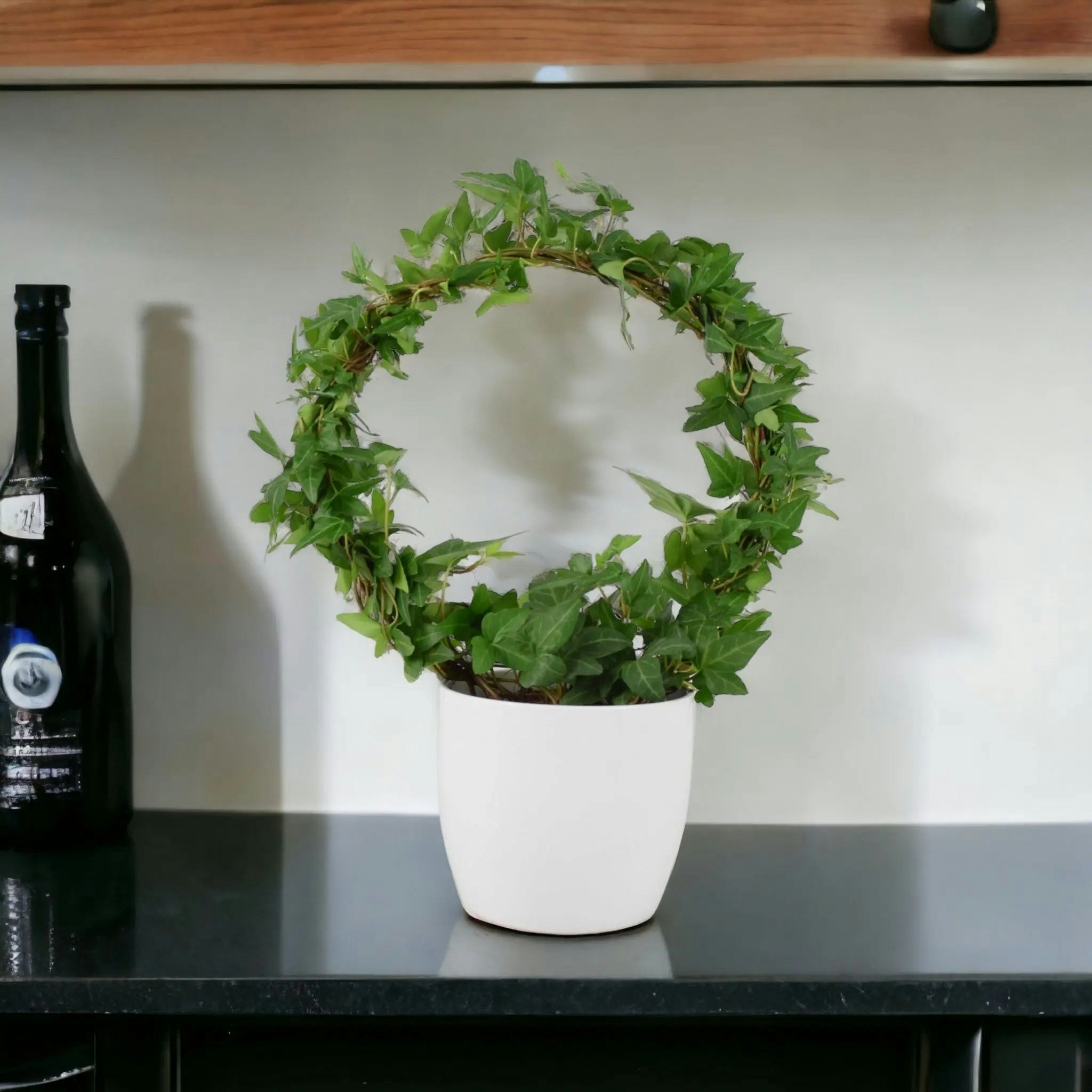 Plants By Post White Hedera Ivy Hoop In 12Cm Pot – Indoor Air-Purifying Houseplant - Ceramic