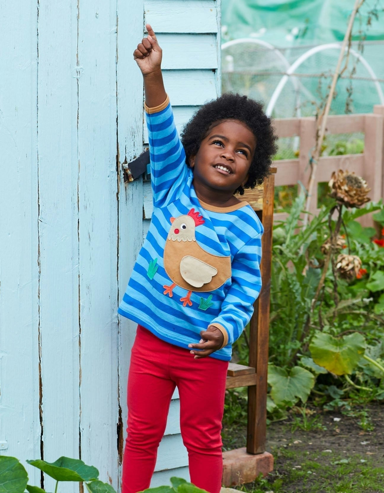 Toby Tiger Organic Clucky Chicken Applique Long-Sleeved T-Shirt - 3-6M / 68Cm