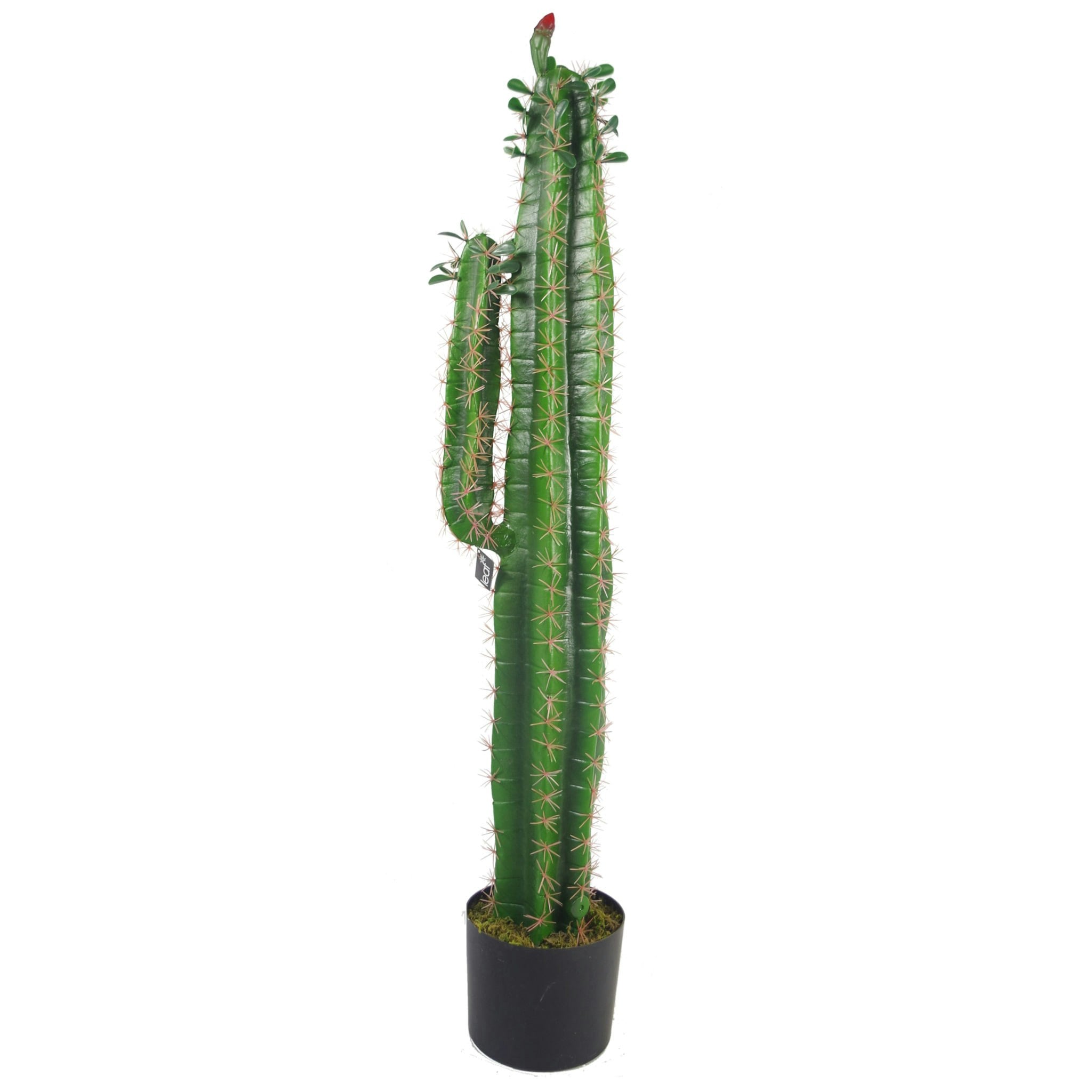 Leaf Artificial Cactus Plant 110cm Green - Black Pot - Image 7