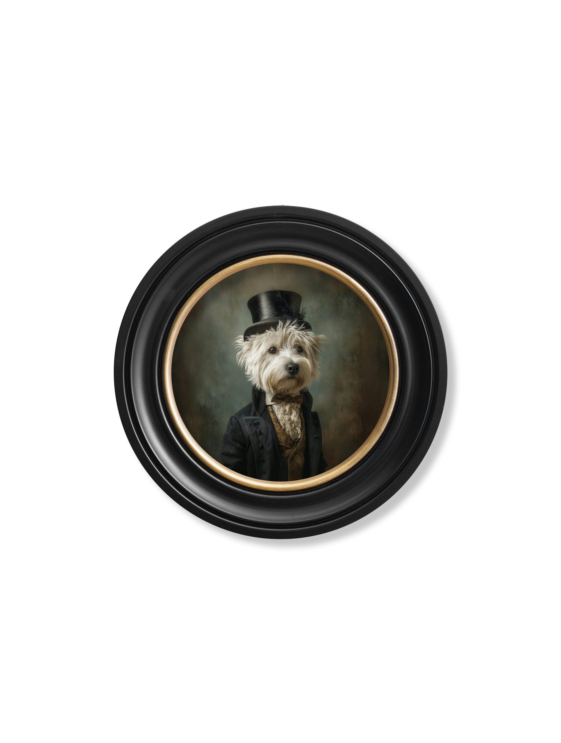 Rackhams Dark/White/Black Lord Westly Tail - Gentleman Westie Oxford Round Frame - 44 X 44Cm