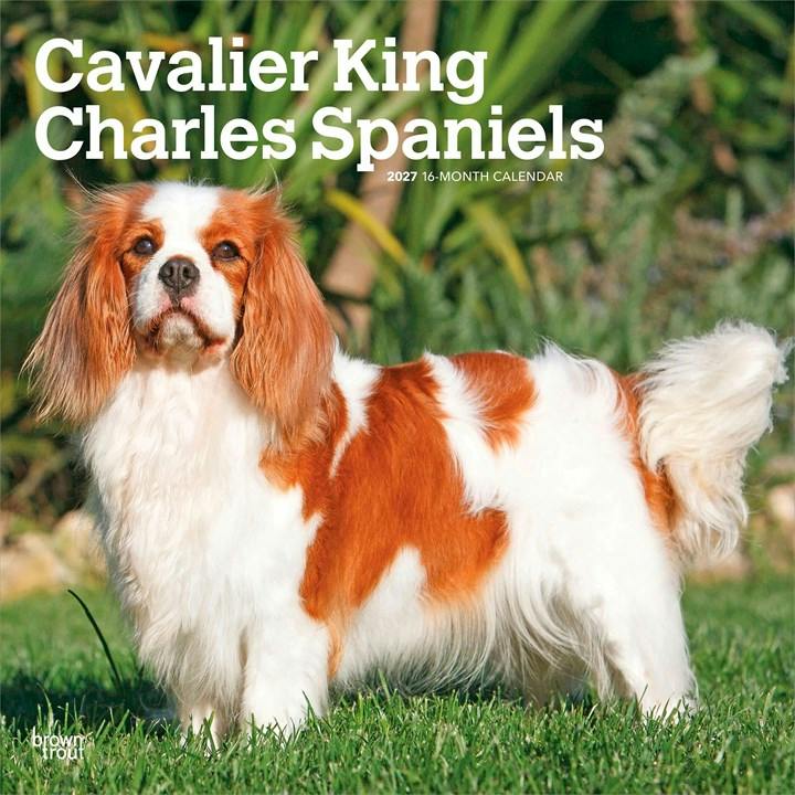 Cavalier King Charles Spaniels Calendar 2027, Wall Calendars, Month To View, Dogs, Gift - Image 6