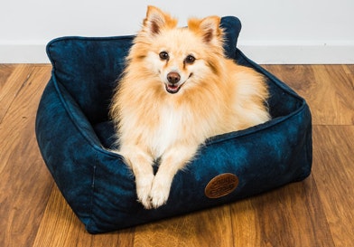 Snug And Cosy Pets Windsor Square Dog Bed - 60Cm X 50Cm X 20Cm - Navy