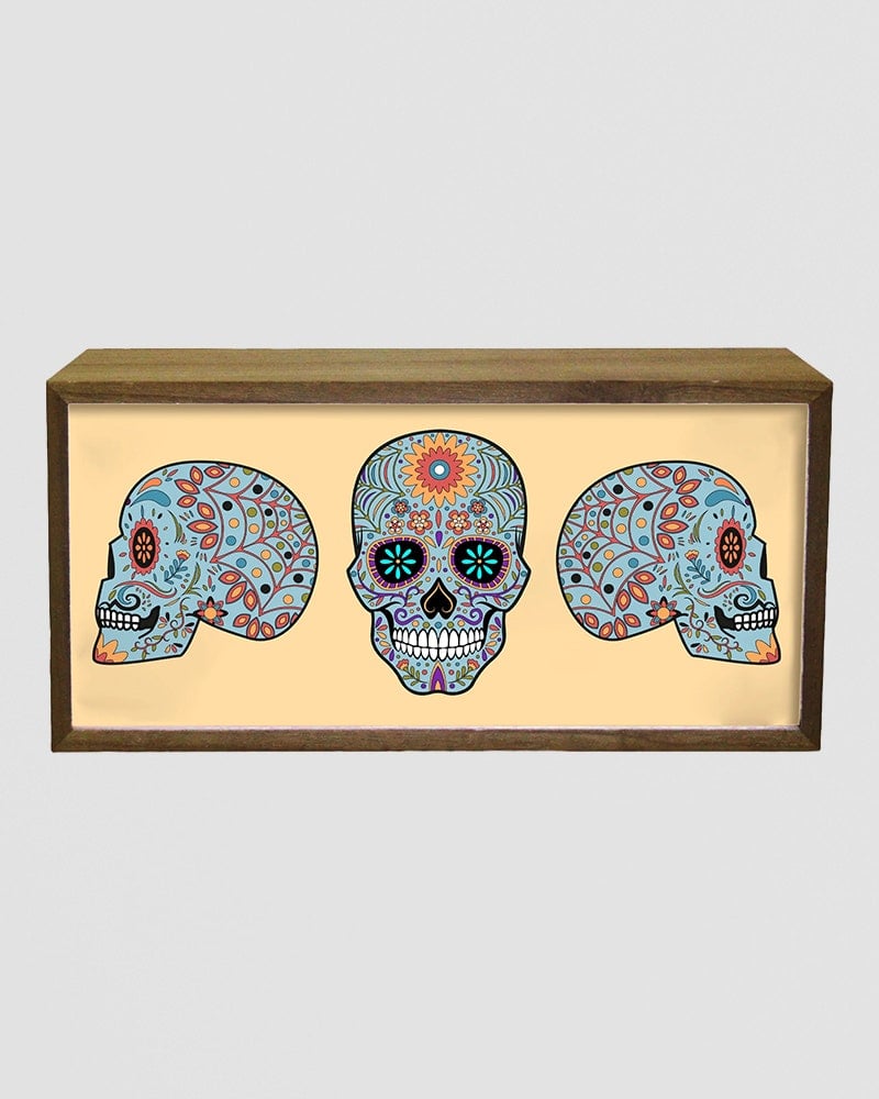 Echo Three Light Cool & Fun Boxes (Skulls) - Image 3