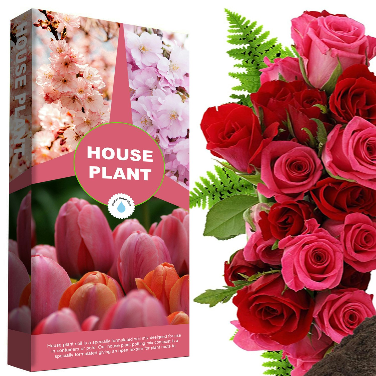 Storm Trading Group 10 Litres House Plant Compost Ideal For House Plants With Added Nutrients For Healthy Leaves & Plants - 1 Bag (10 Litre)