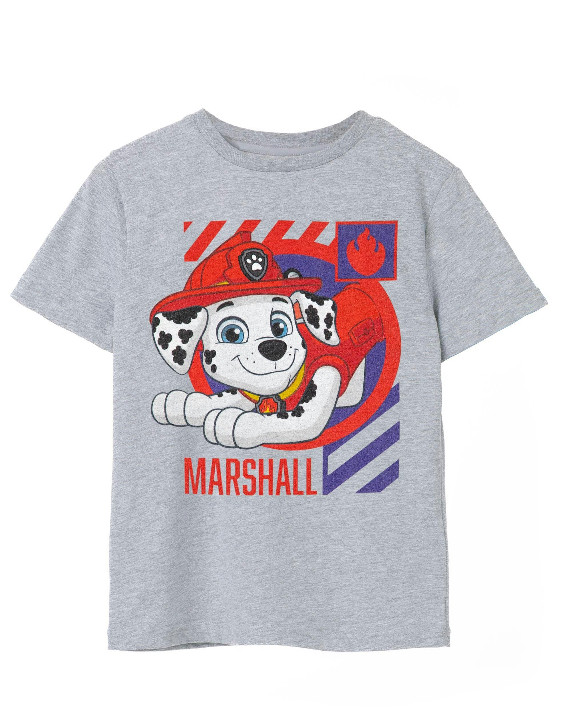 Vanilla Underground Boys Grey Paw Patrol Marshall Short Sleeved T-Shirt - 5-6 Years