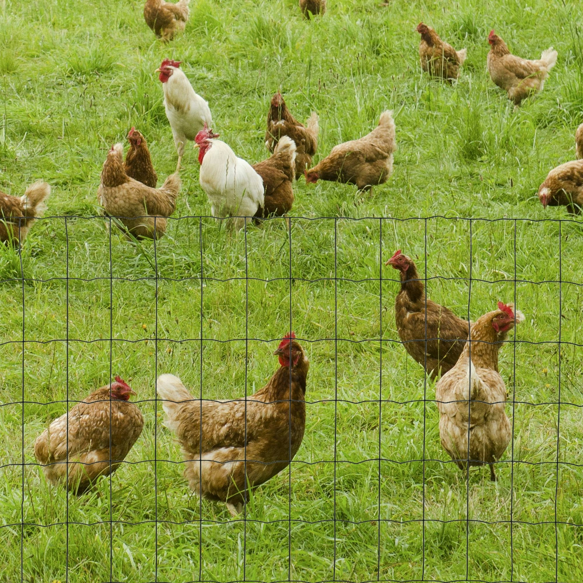 Pawhut 0.6Mx10m Chicken Wire Mesh Rabbit Poultry Animal Fence Pvc Coated Netting