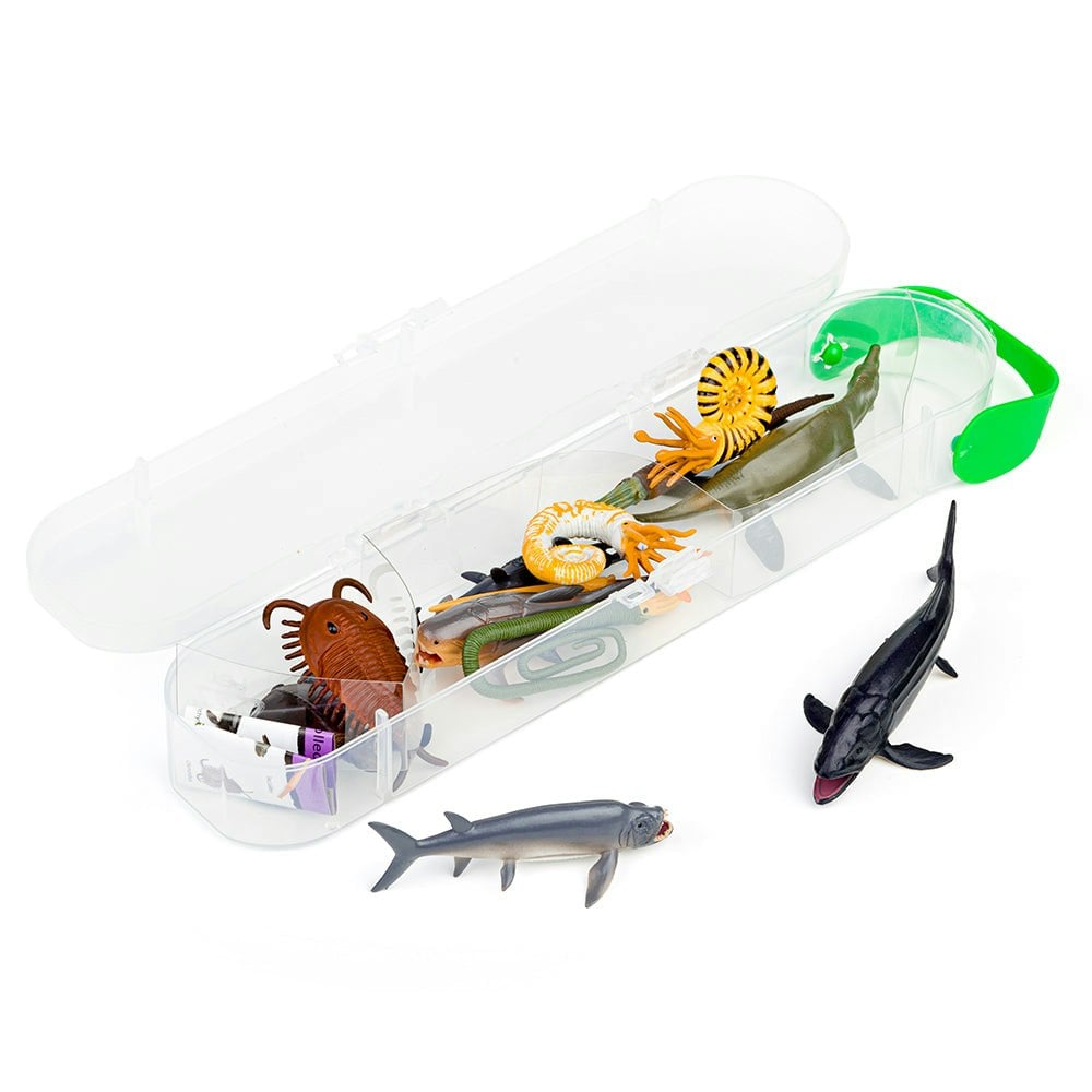 Collecta Mini Prehistoric Marine Animals