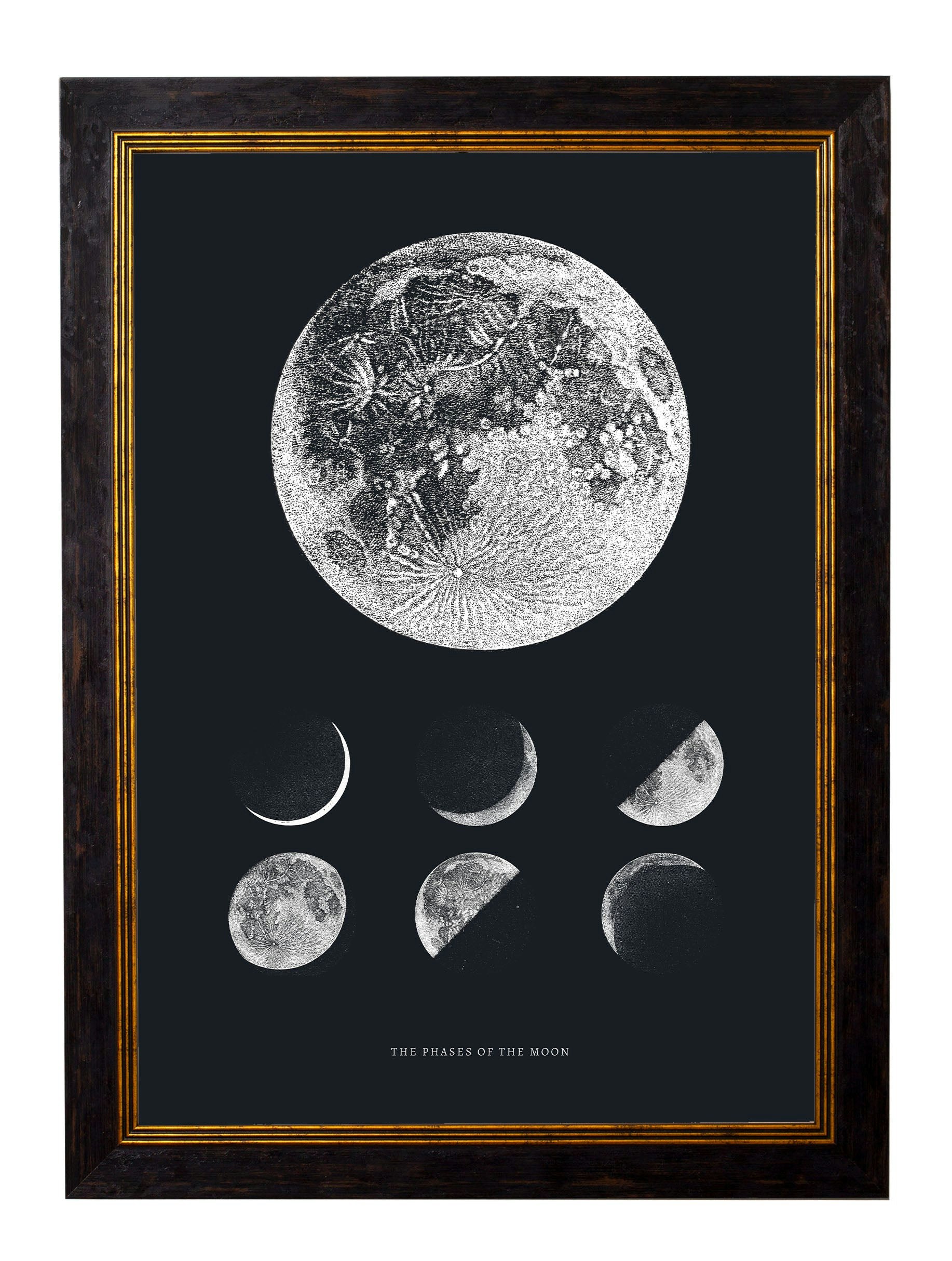 Rackhams Black C.1800 Phases Of The Moon - 38 X 50Cm - Without Mount