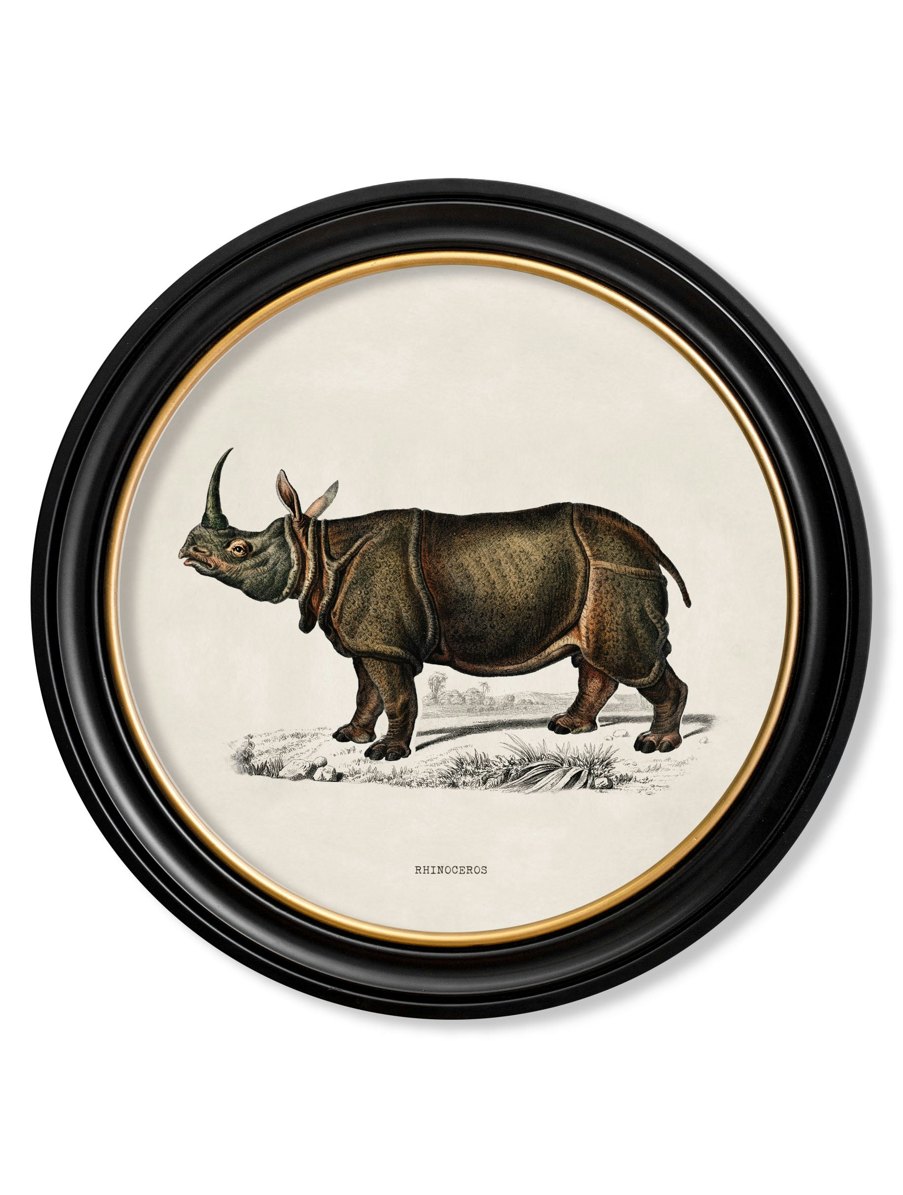 Rackhams Black C.1846 Rhino & Hippo - Round Frames - 70 X 70Cm - Rhino