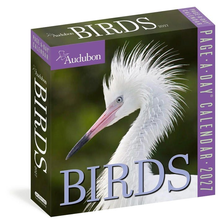 Audubon, Birds Desk Calendar 2027 - Image 5