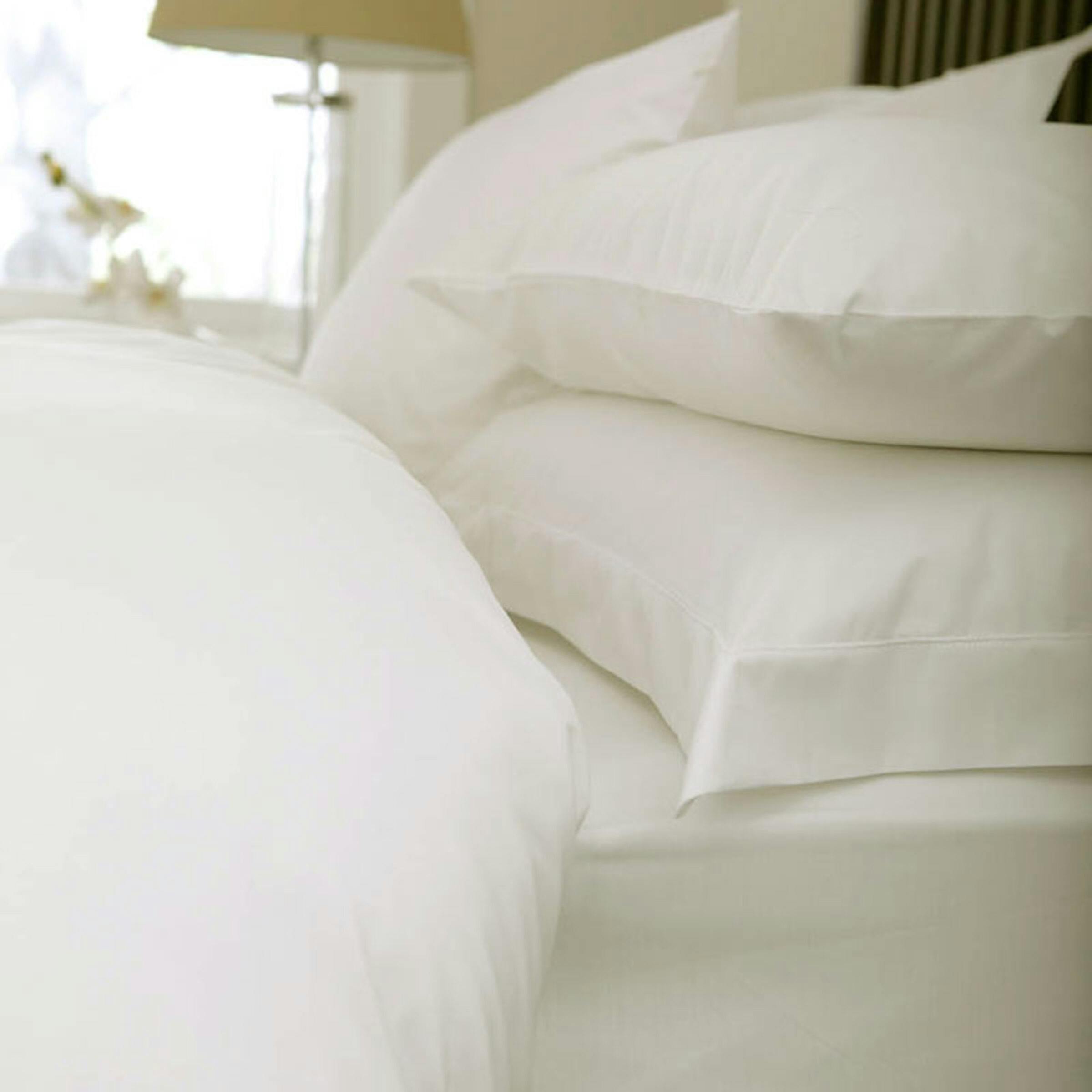 Charlotte Thomas Ivory Sestina 100% Cotton Luxury Percale Fitted Sheet - 4Ft Bed - 122 X 190Cm - 122 X 190Cm - 100 % Cotton Percale