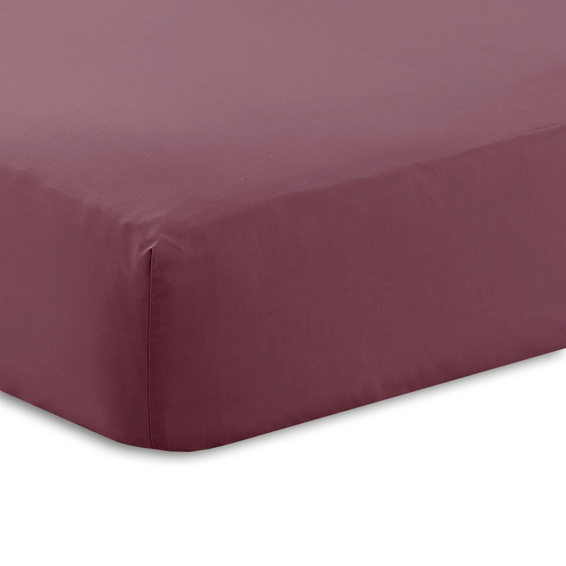 Rackhams Percale Extra Deep 16" Fitted Sheet - Plum - Single