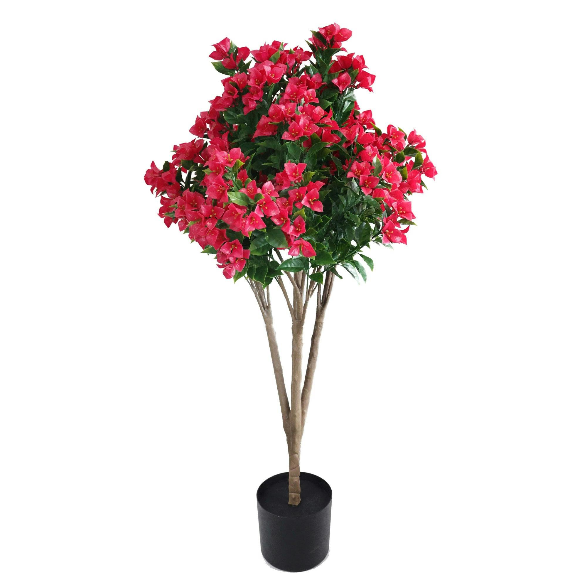 True Products Fuchsia Bougainvillea Tree Uv Protected- 60Cm, 90Cm & 120Cm - 120Cm