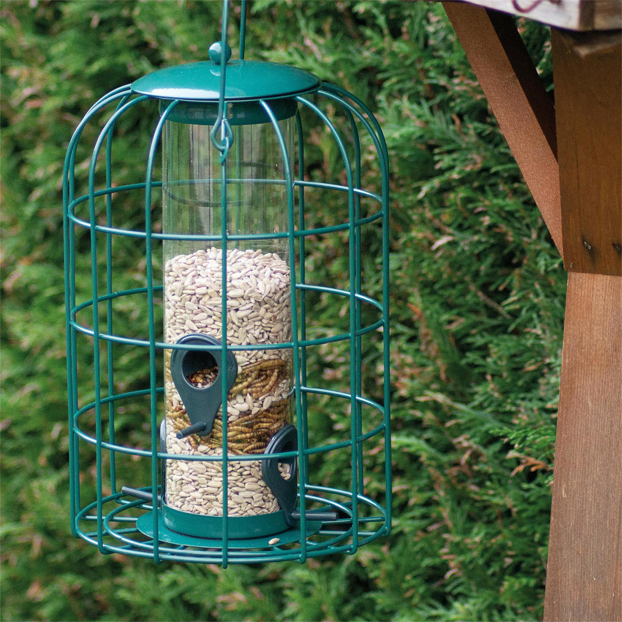 Rackhams Squirrel Resistant Bird Feeder