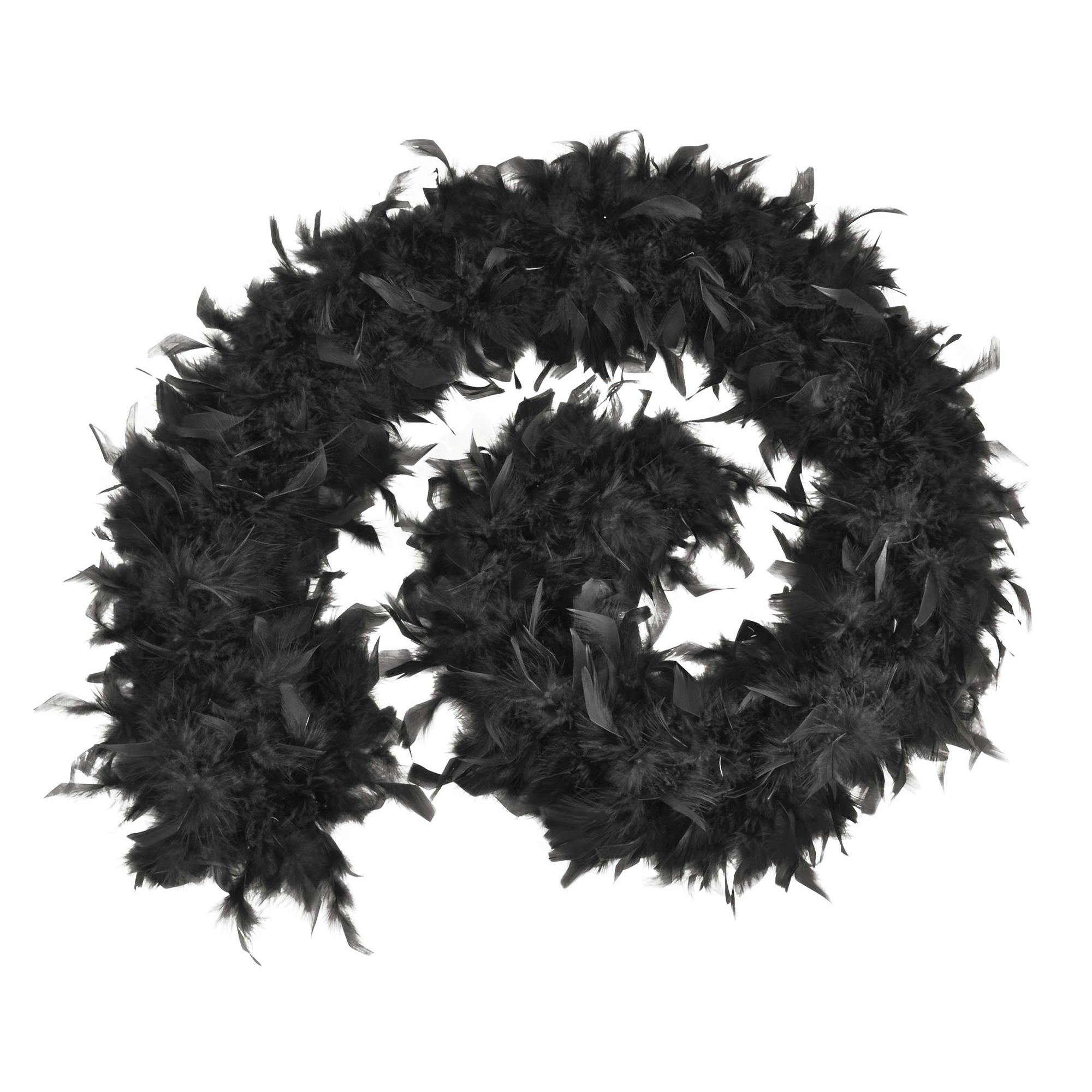 Bristol Novelty Unisex Black Adults Budget Feather Boa - One Size