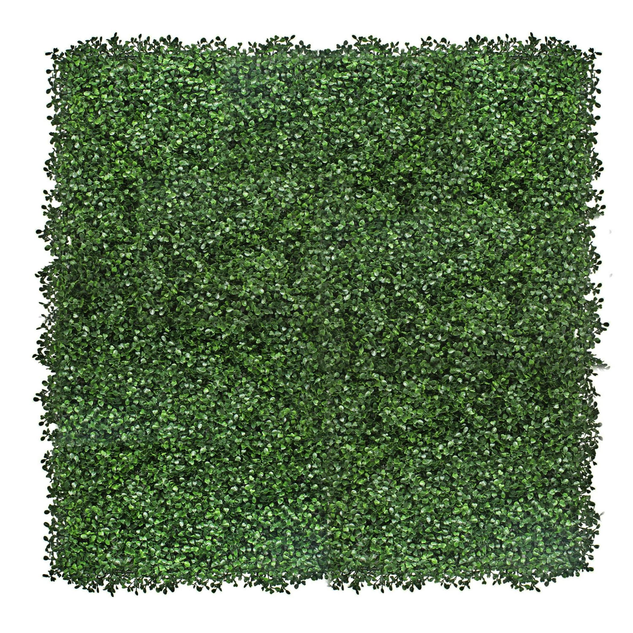 Rackhams Green Boxwood Artificial Living Wall Hedge Mat 1M X 1M