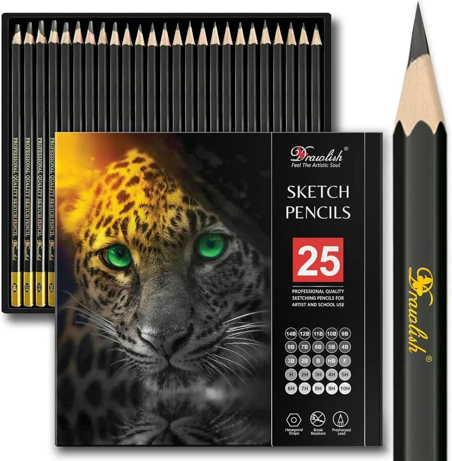 Drawlish Drawing Pencils For Artists - 25 Grades (14B To 10H) Sketching Pencils Set