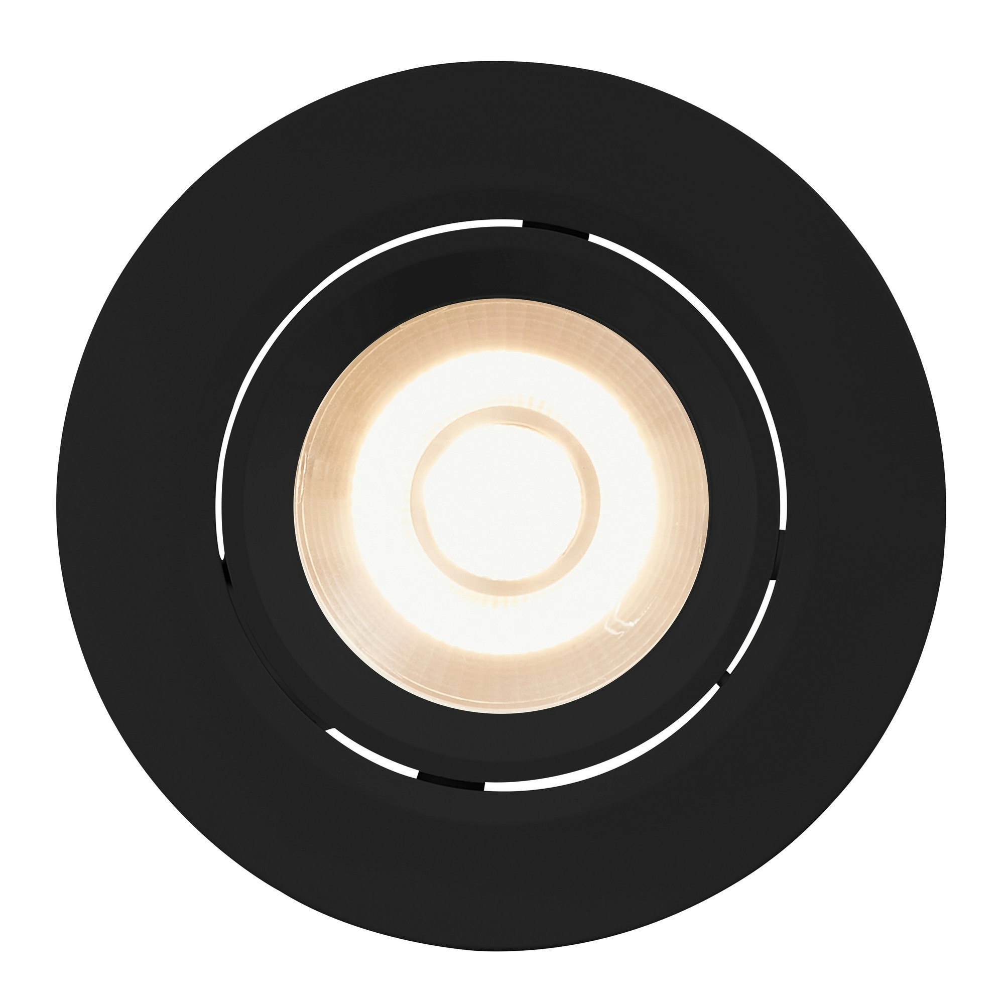 Rackhams Black Roar | Downlight | - 1