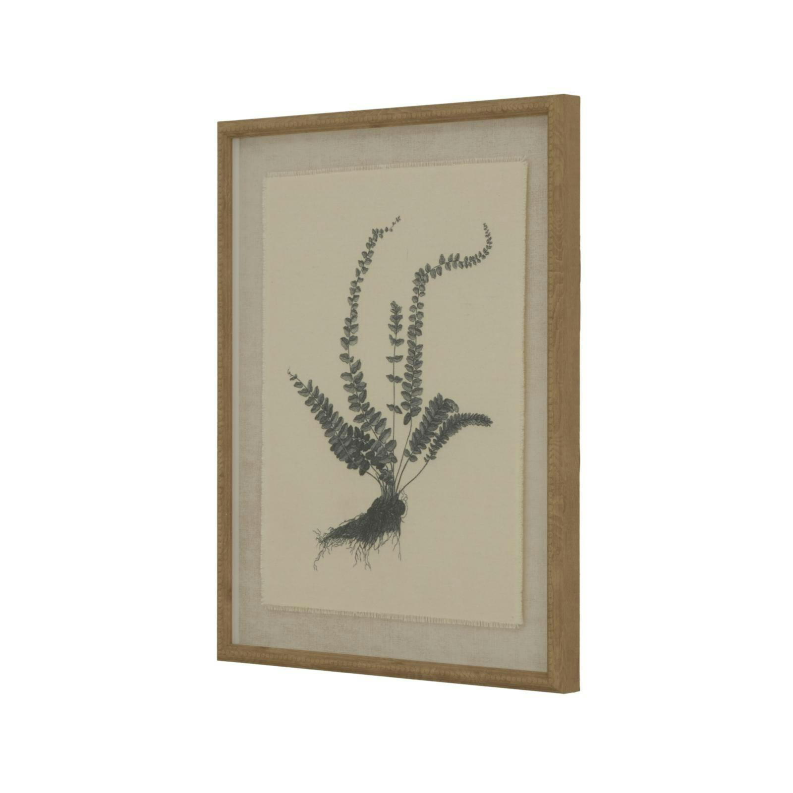 Rackhams Black/White Flora & Fauna Collection Spleenwort Beaded Linen Framed Wall Art - 50Cm X 2Cm X 40Cm