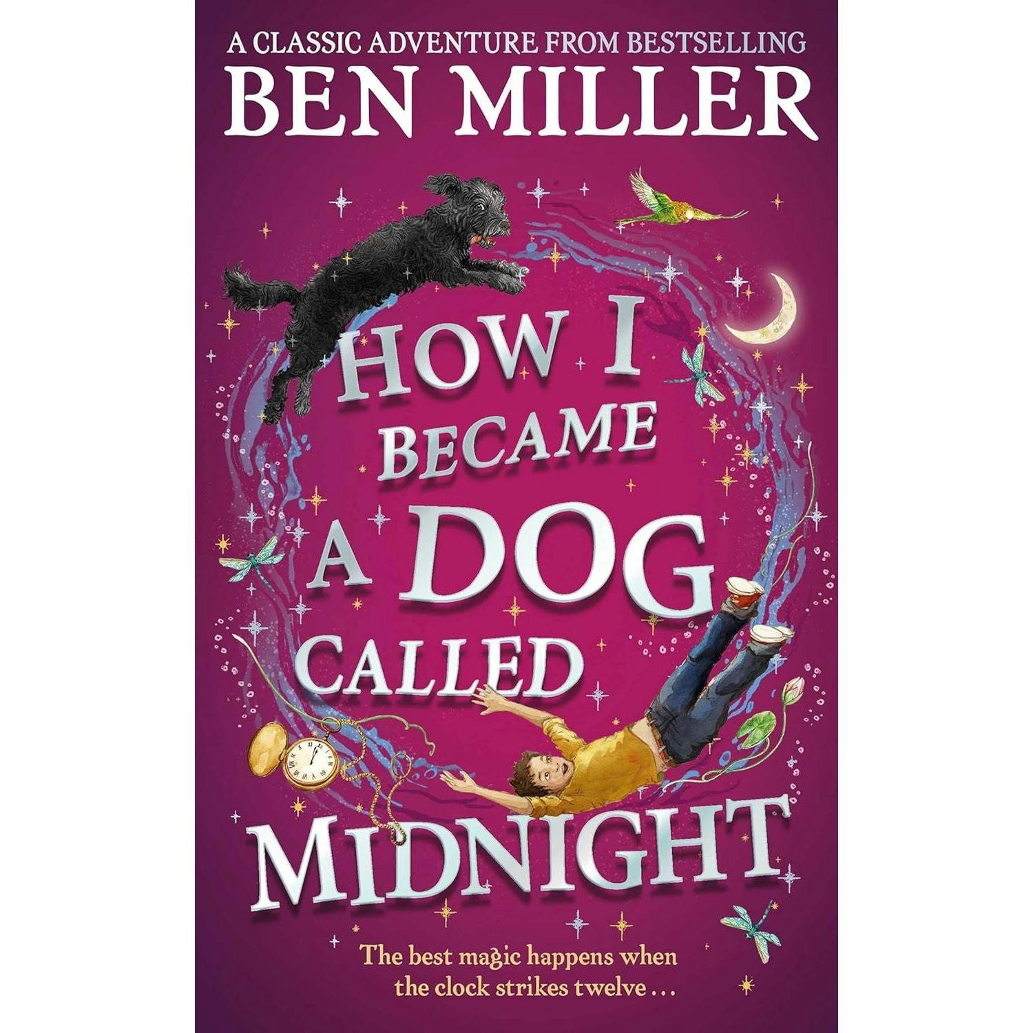 Simon & Schuster Boys How I Became A Dog Called Midnight By Ben Miller Small