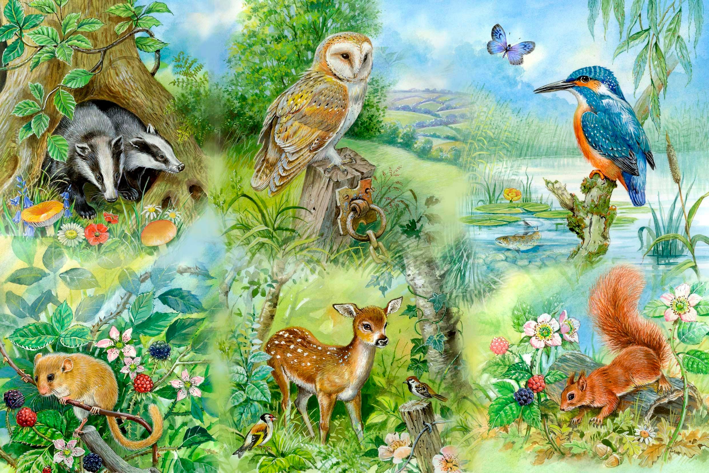 The House of Puzzles Nature Study 250 Piece Big Jigsaw Puzzle - Oversized Pieces - 34 x 48cm - Image 3