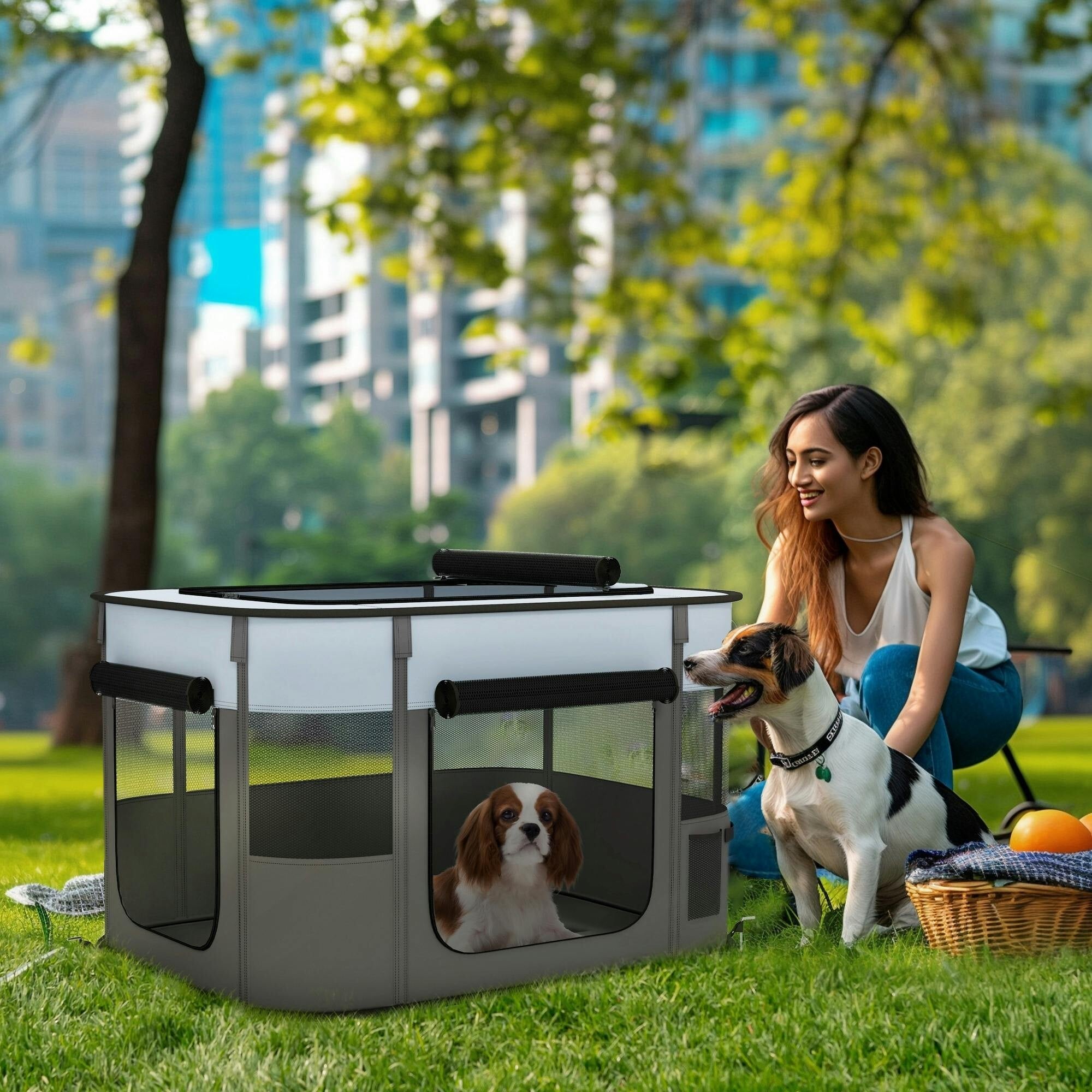 Pawhut Grey Portable Dog Pen For Puppies, Rabbits, Kittens, Guinea Pigs