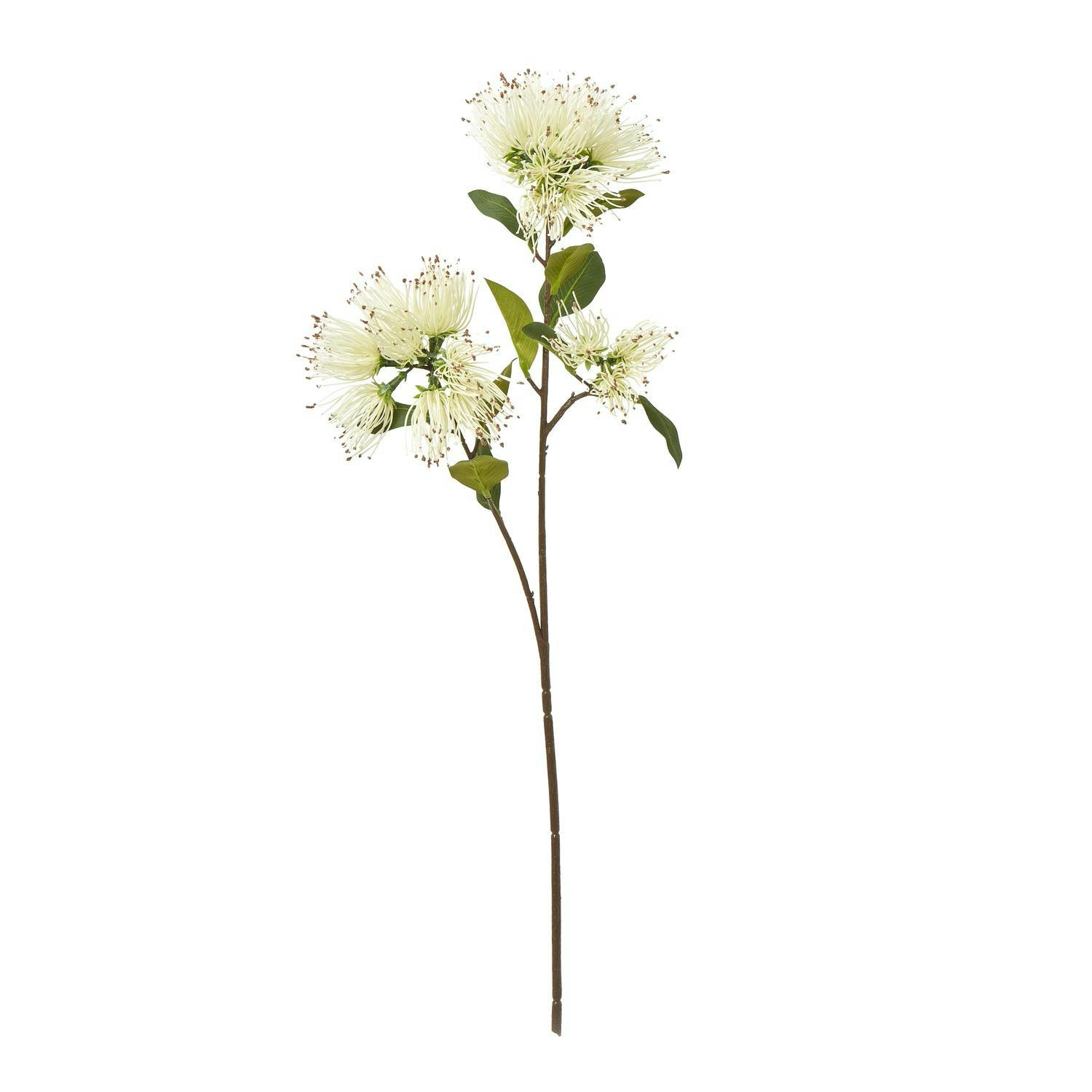 Hill Interiors Cream Protea Nitida Stem Artificial Flower Spray - One Size