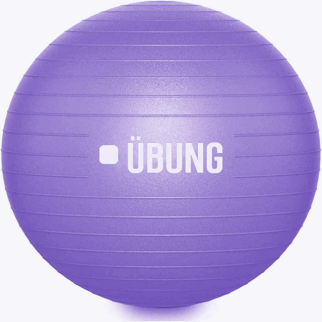 Ubung Anti Burst Exercise Fitness Ball 65cm Swiss Ball with Pump Non Slip Light Purple - Purple