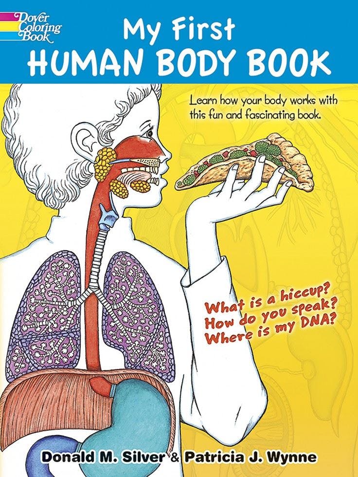 My First Human Body Book.by Wynne New Fast Free Shipping** - Image 7