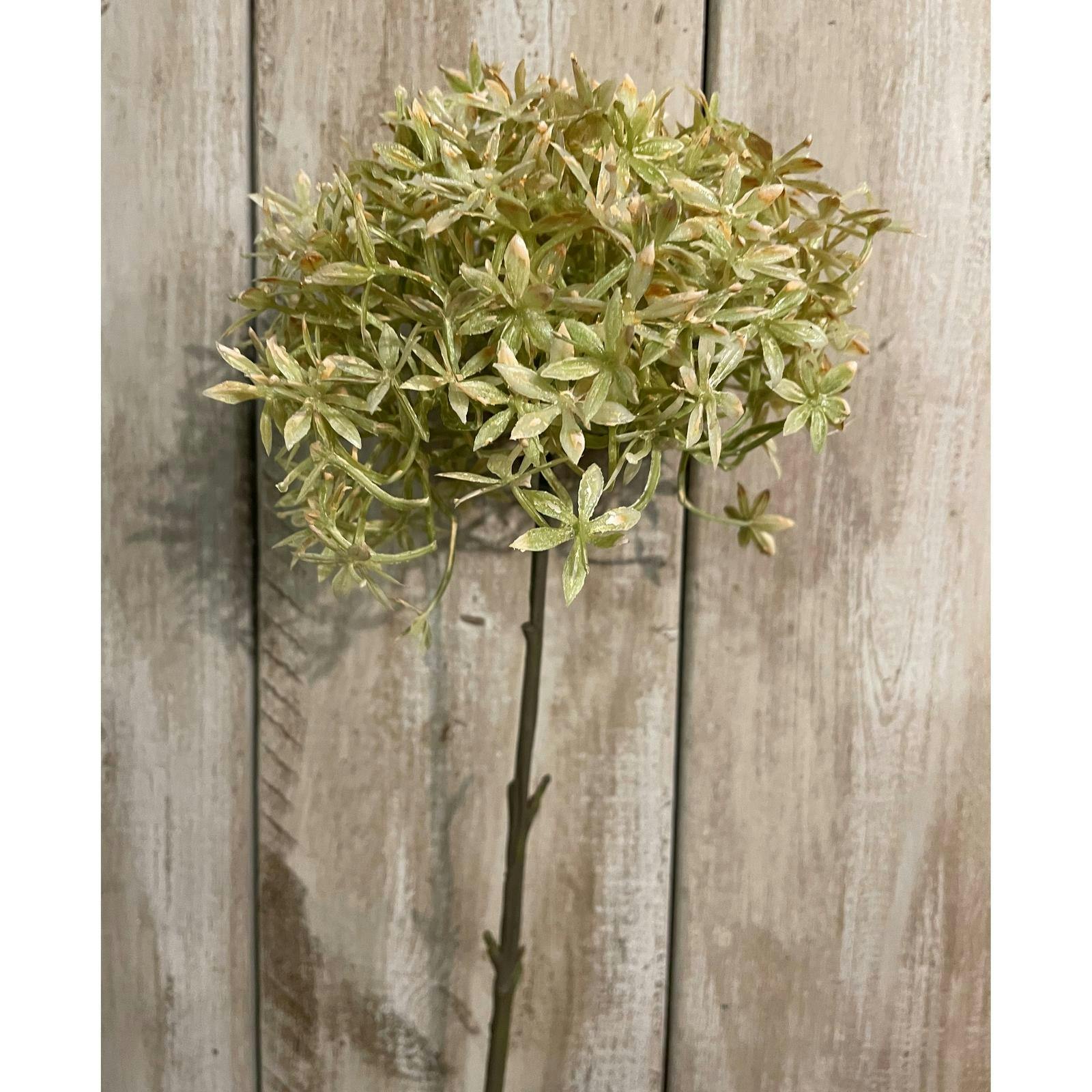 Hill Interiors Unisex Light Green Allium Stem Artificial Flower In - Image 4