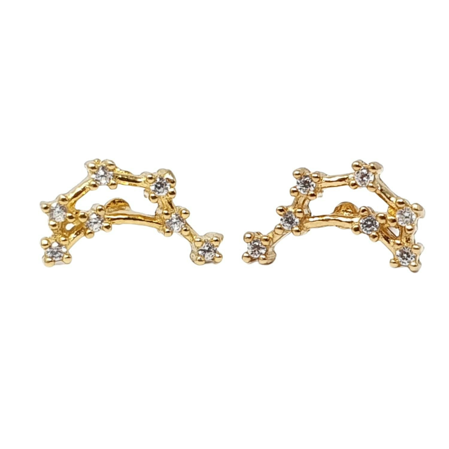 Harfi Capricorn Star Sign Constellation Astrology Earrings