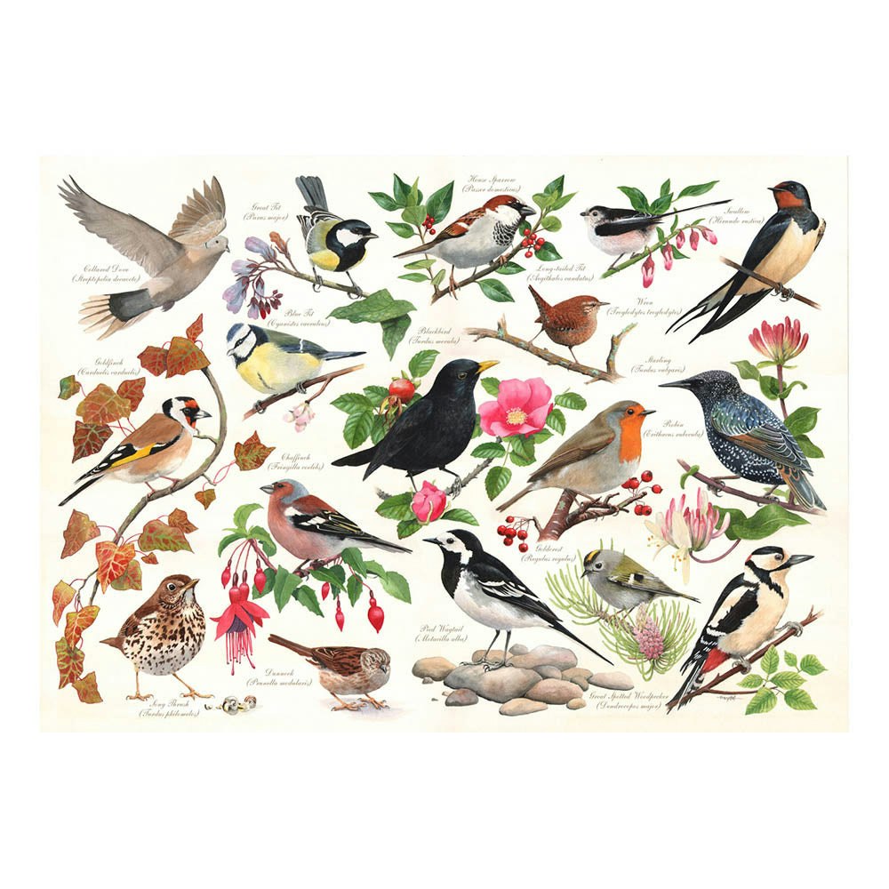 The House Of Puzzles Birds In My Garden - 1000 Piece Jigsaw Puzzle