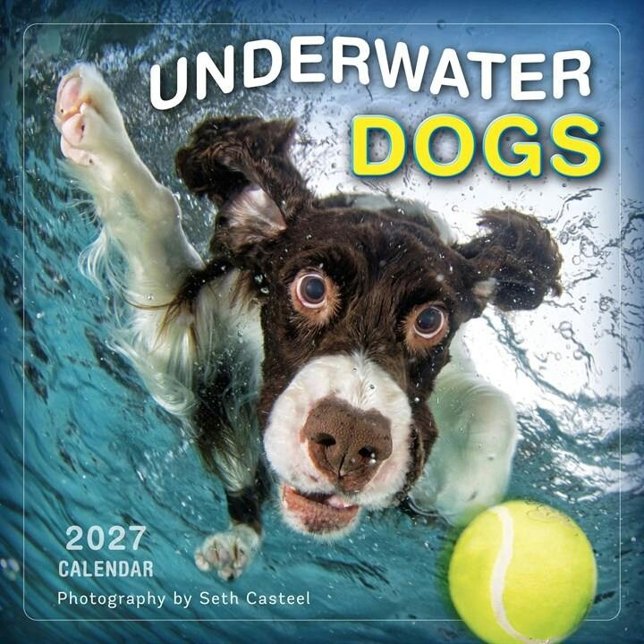 Underwater Dogs Calendar 2027 - Image 3